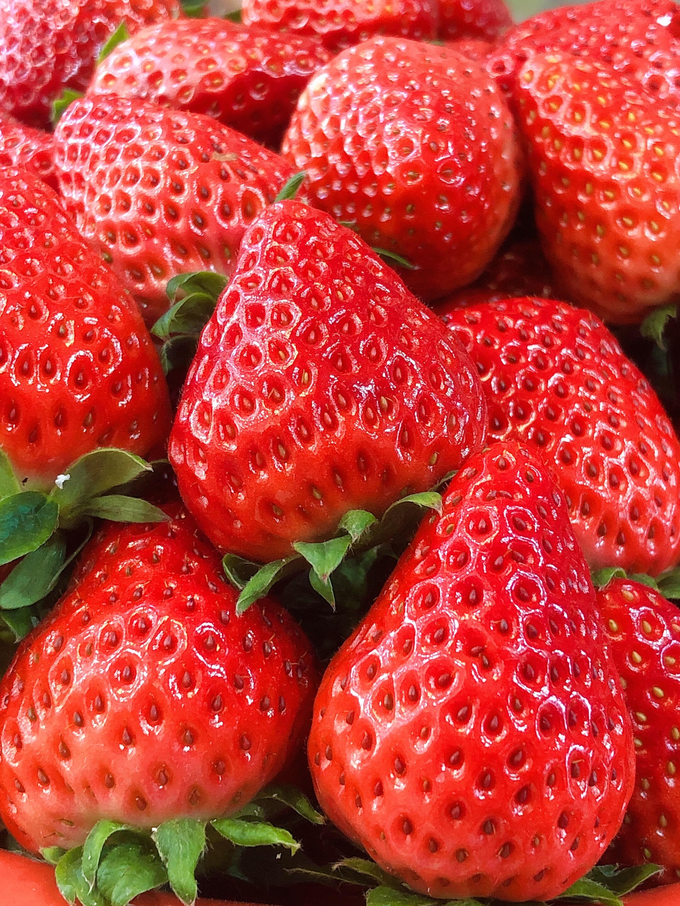 🍓红颜草莓，果肉软嫩、细腻无丝🎊。 唇齿 配图2