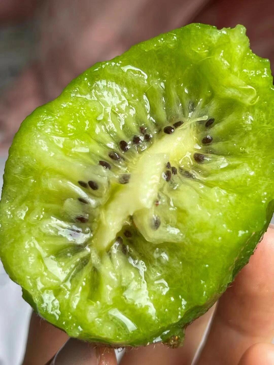 毛茸茸的猕猴桃🥝让人留恋的不只是它丰厚多 配图1