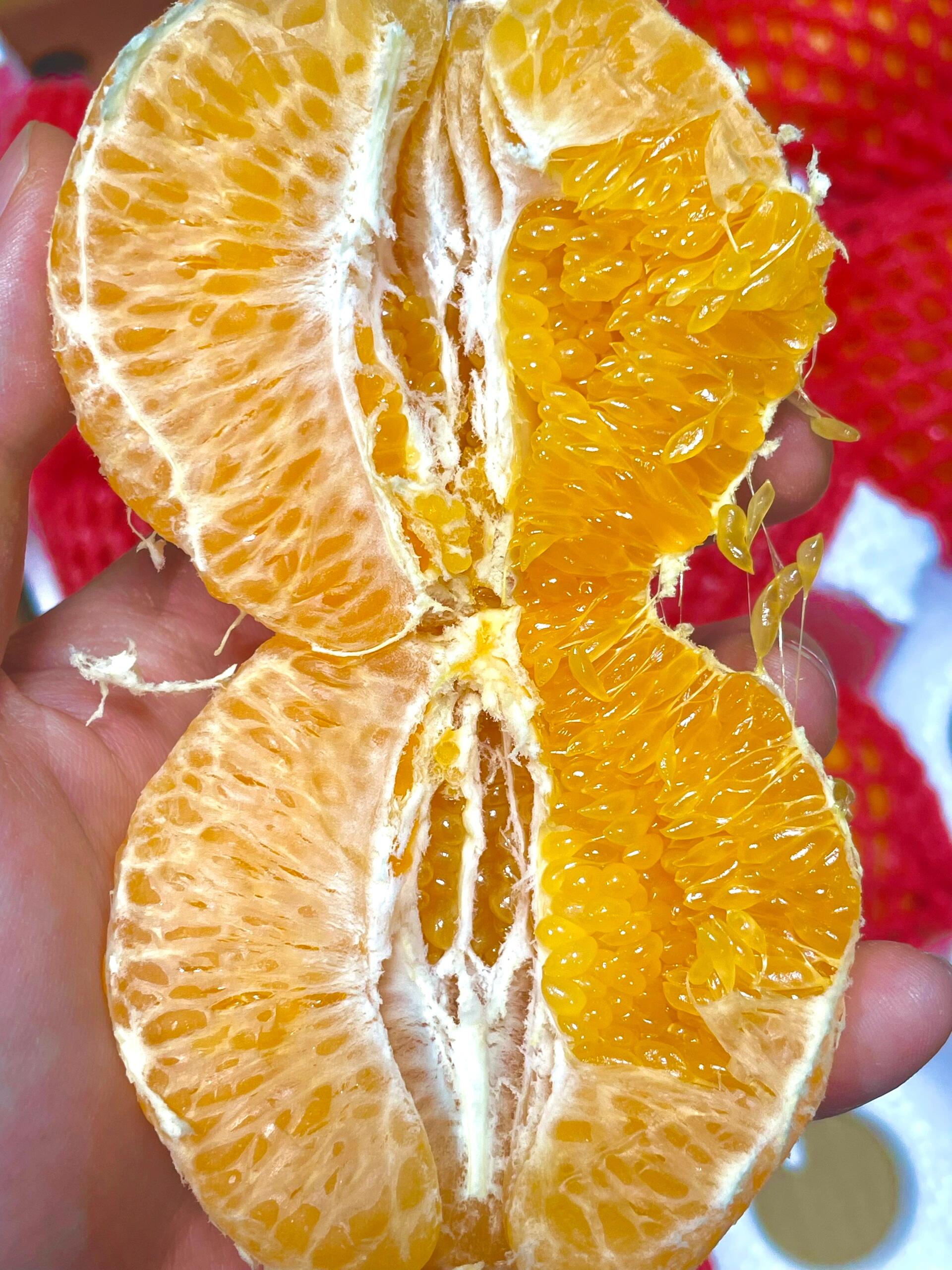 🍊 春见耙耙柑！🍊 果皮松软好剥👌一掰就 配图1