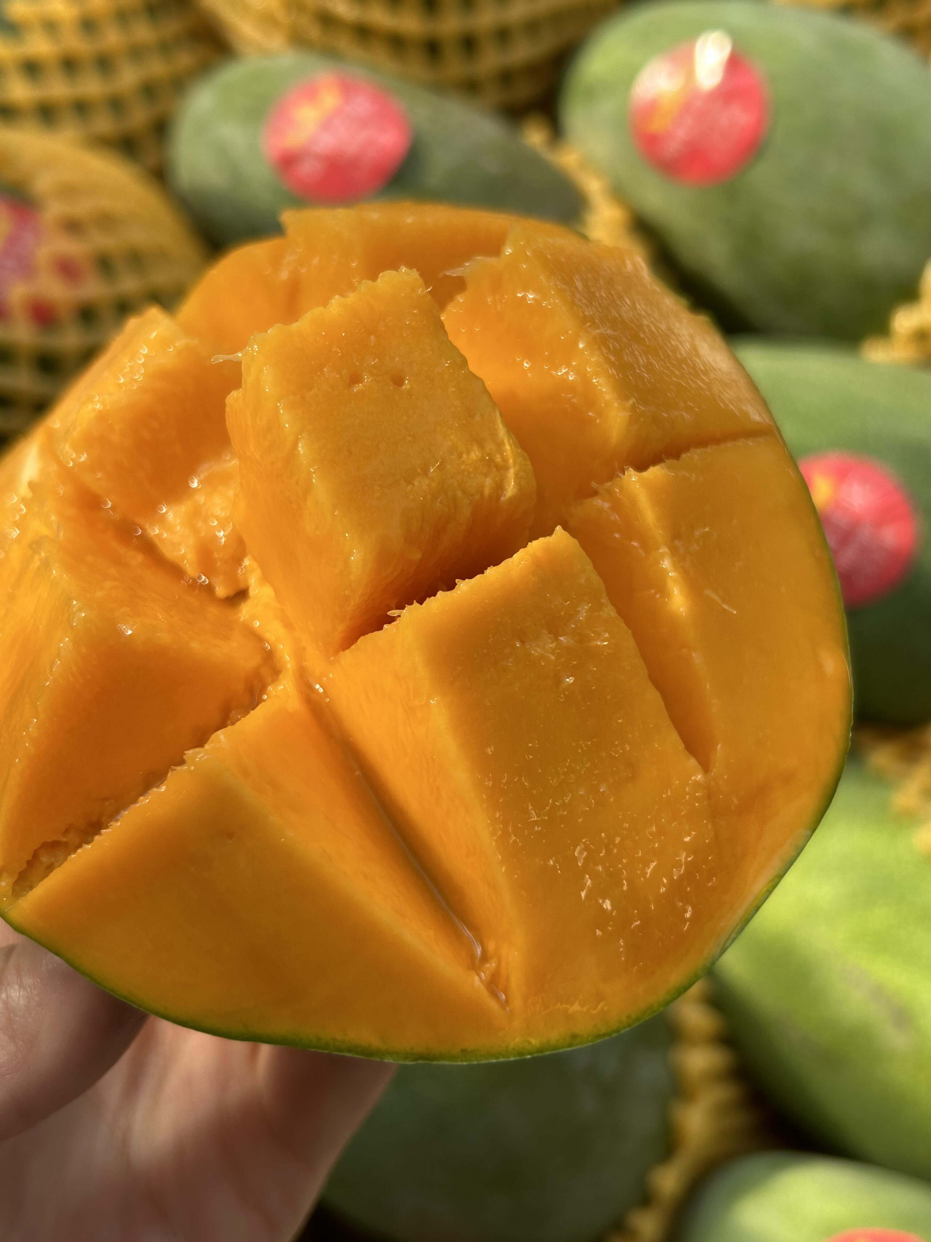 🥭 凯特芒上市！🥭 个头超大果肉厚～一个 配图1