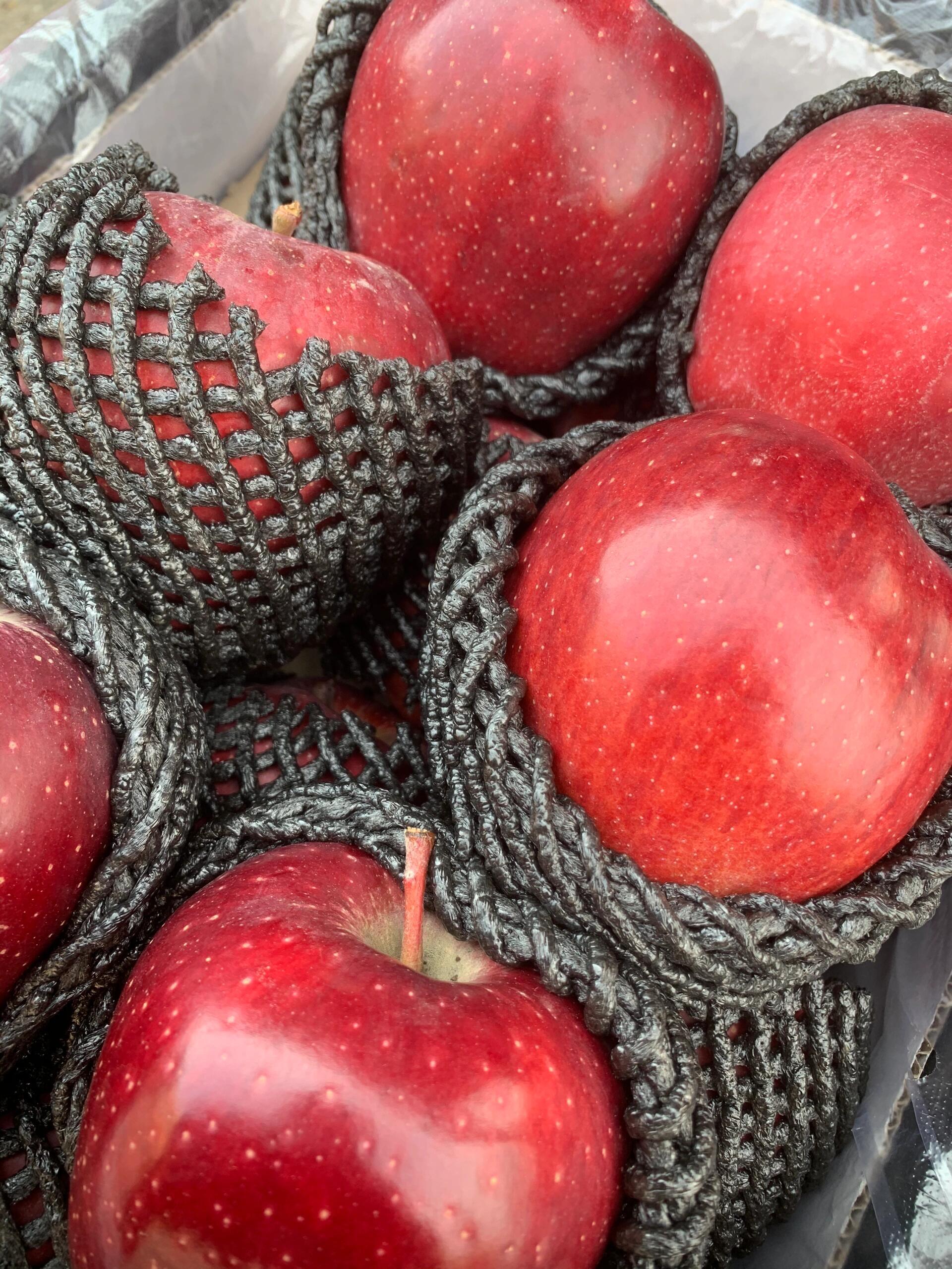 🍎 花牛苹果到货！🍎 红彤彤像小灯笼～颜 配图3