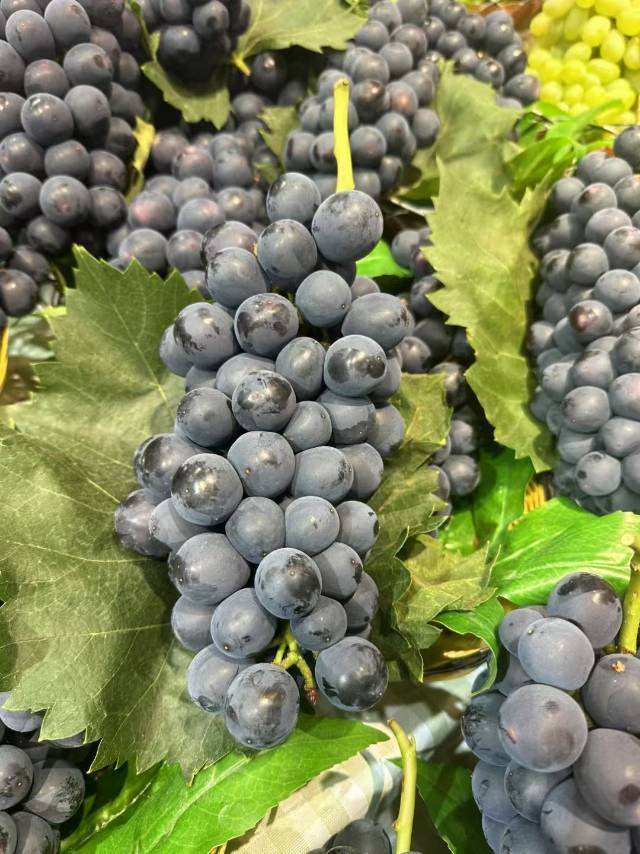 🔥卖爆了的的蓝莓葡萄到货🍇 满满的自然果 配图3