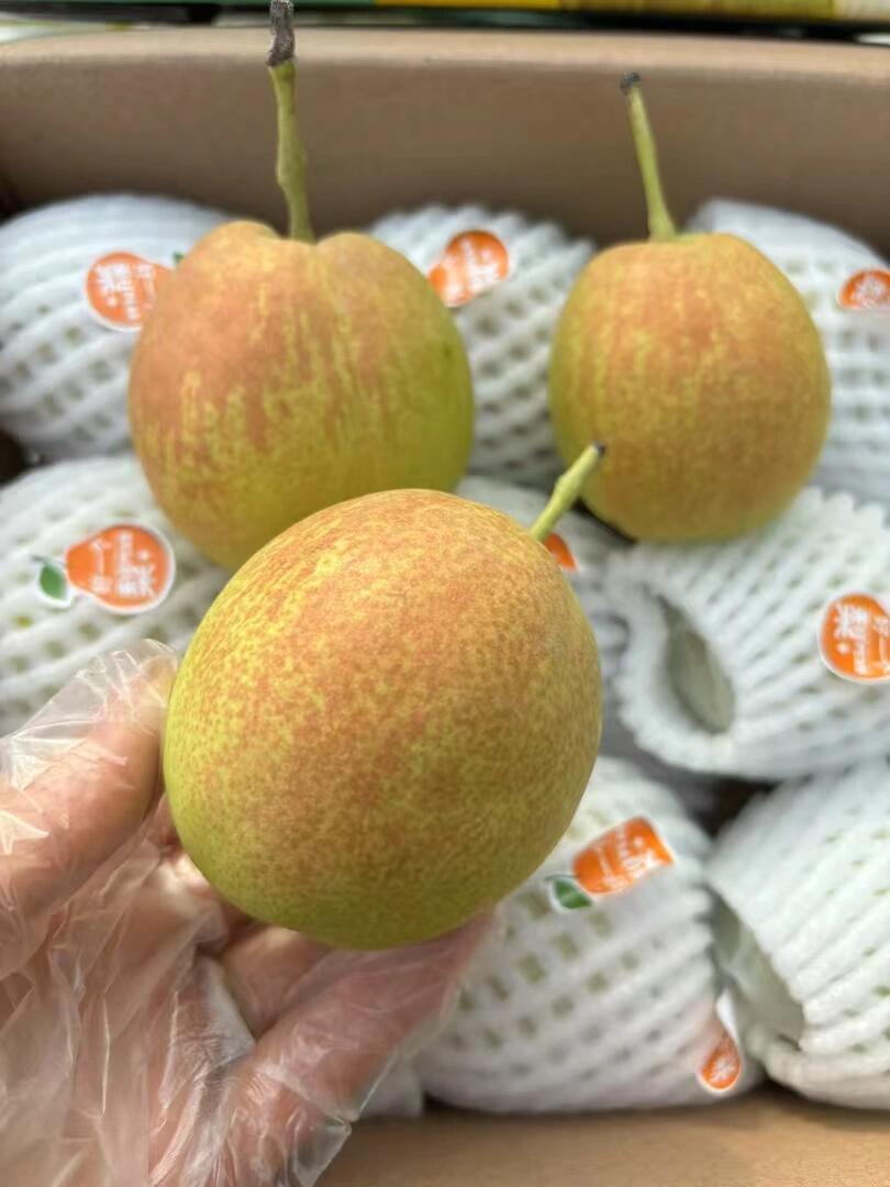 库勒尔‬香梨“一梨润三春”🥒🥒 口爽感‬ 配图1