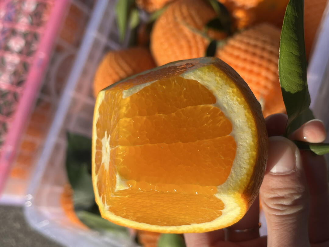 赣南脐橙🍊 一个，两个，连吃三个都不够👏 配图3
