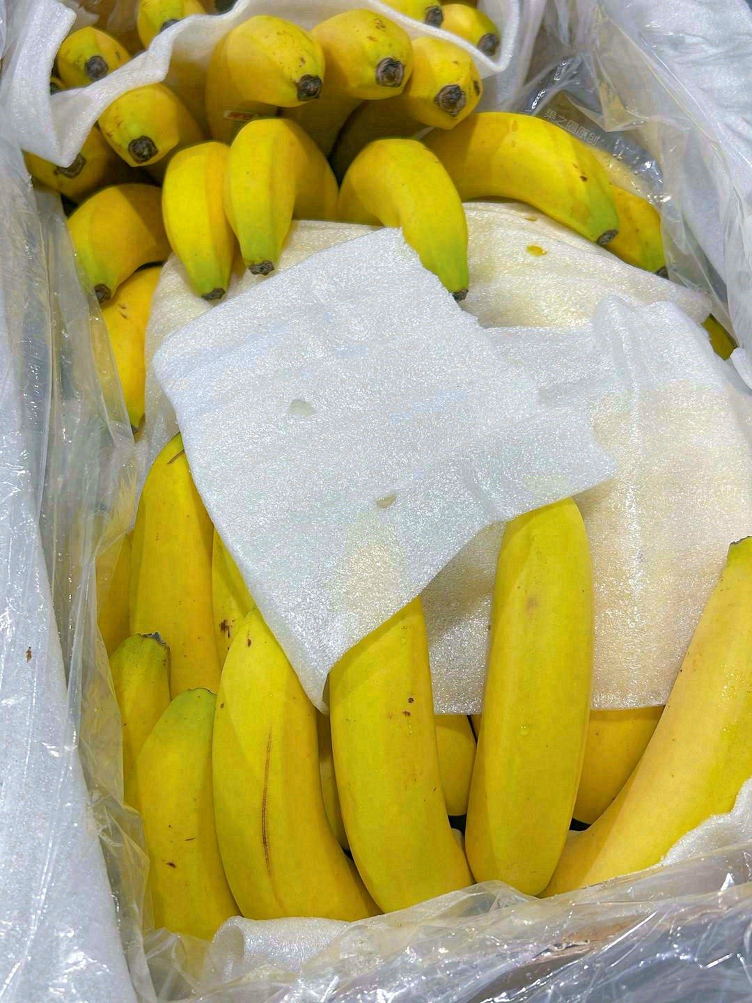 一代天蕉🍌，万丈光芒 我敢承诺，只甜不咸 配图2