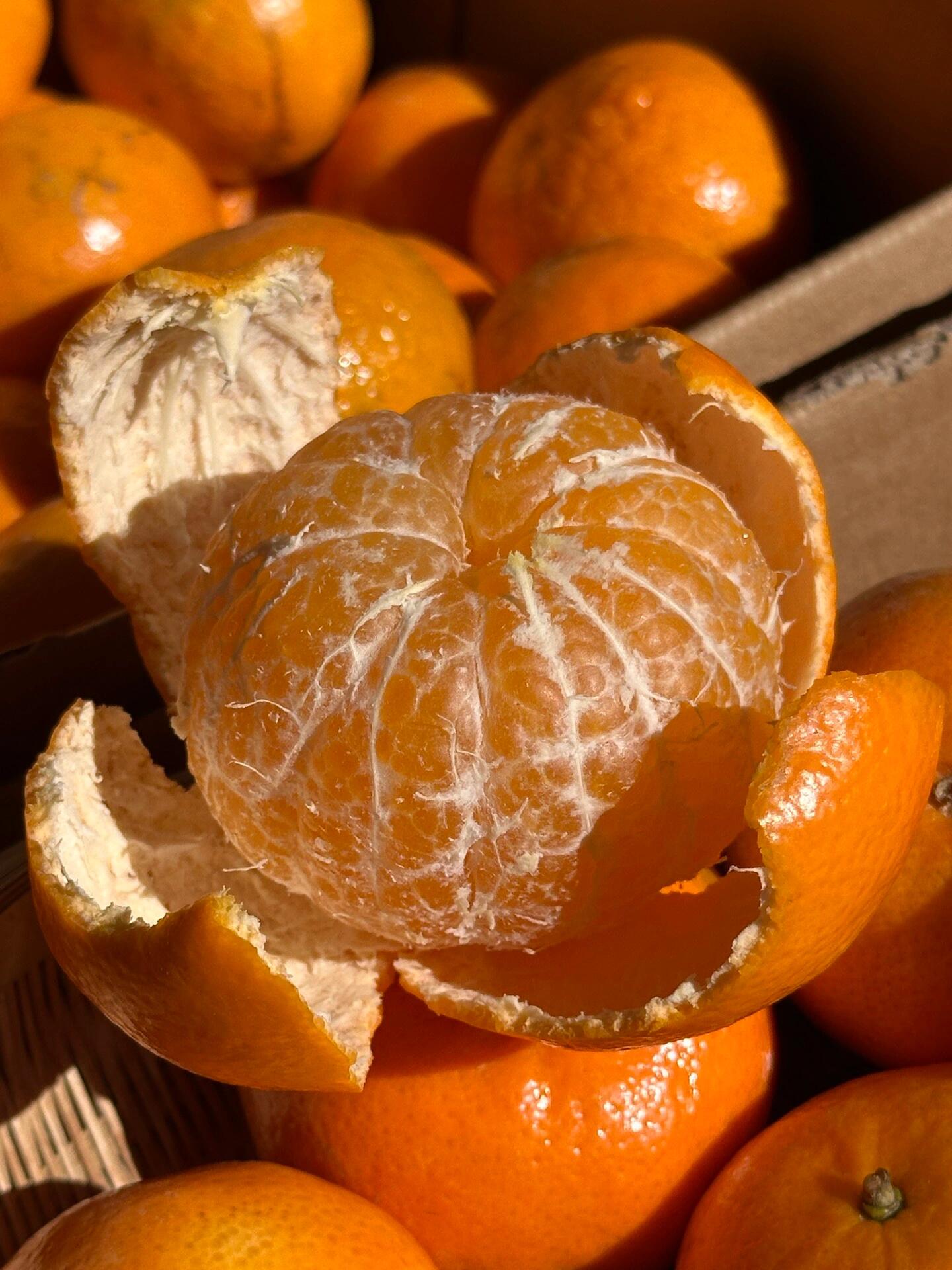 🍊沃柑快到尾期了‼️ 但这批甜度还是挺稳 配图2