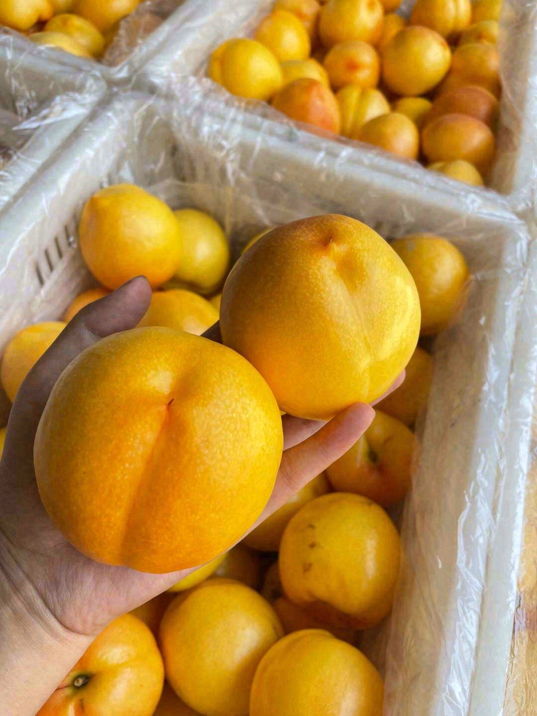入口的一瞬间，对桃子有了新的定义👍！ 刚 配图2