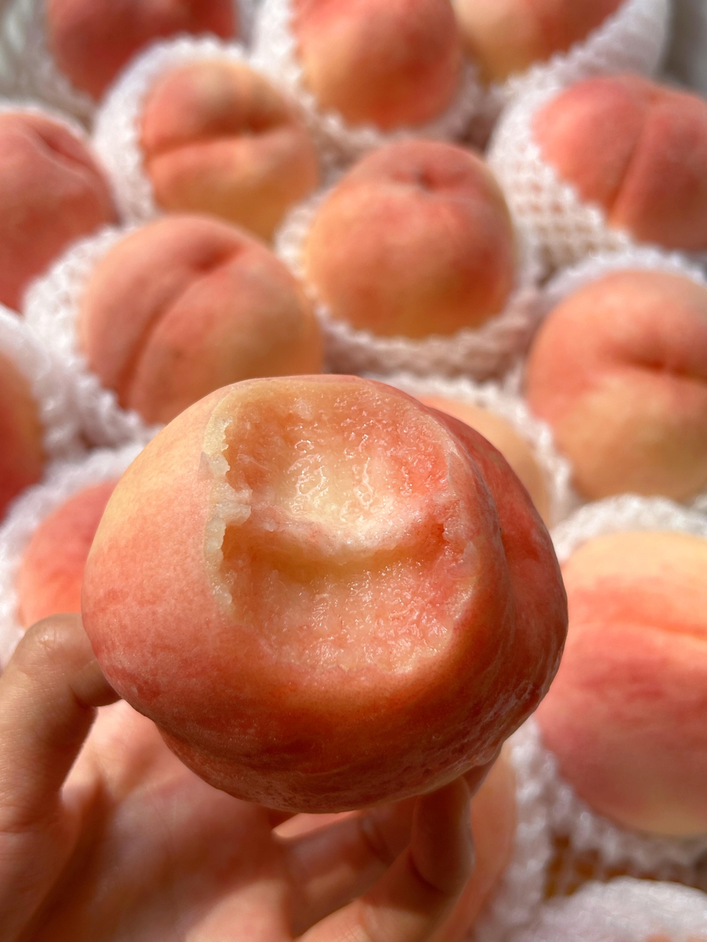 🍑水蜜桃，香，甜🍭味儿足刚上新的时候，下 配图2