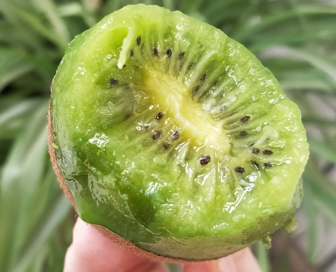 🥝猕猴桃.细腻，沙甜，多汁 唯一不能错过 配图3