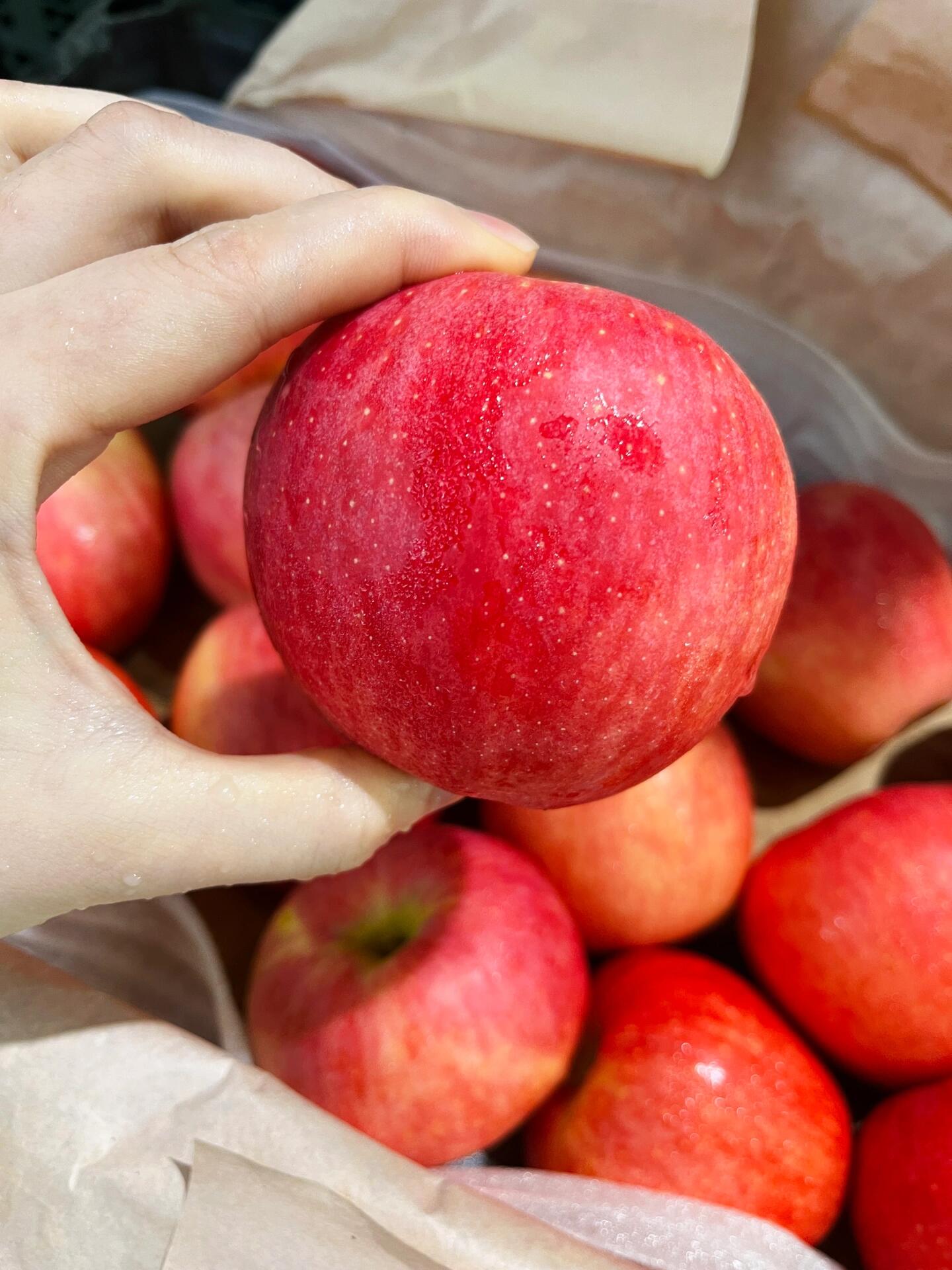 ‬🎉‬新西兰红‬玫‬瑰‬苹‬果‬🍎‬ ‬ 配图1
