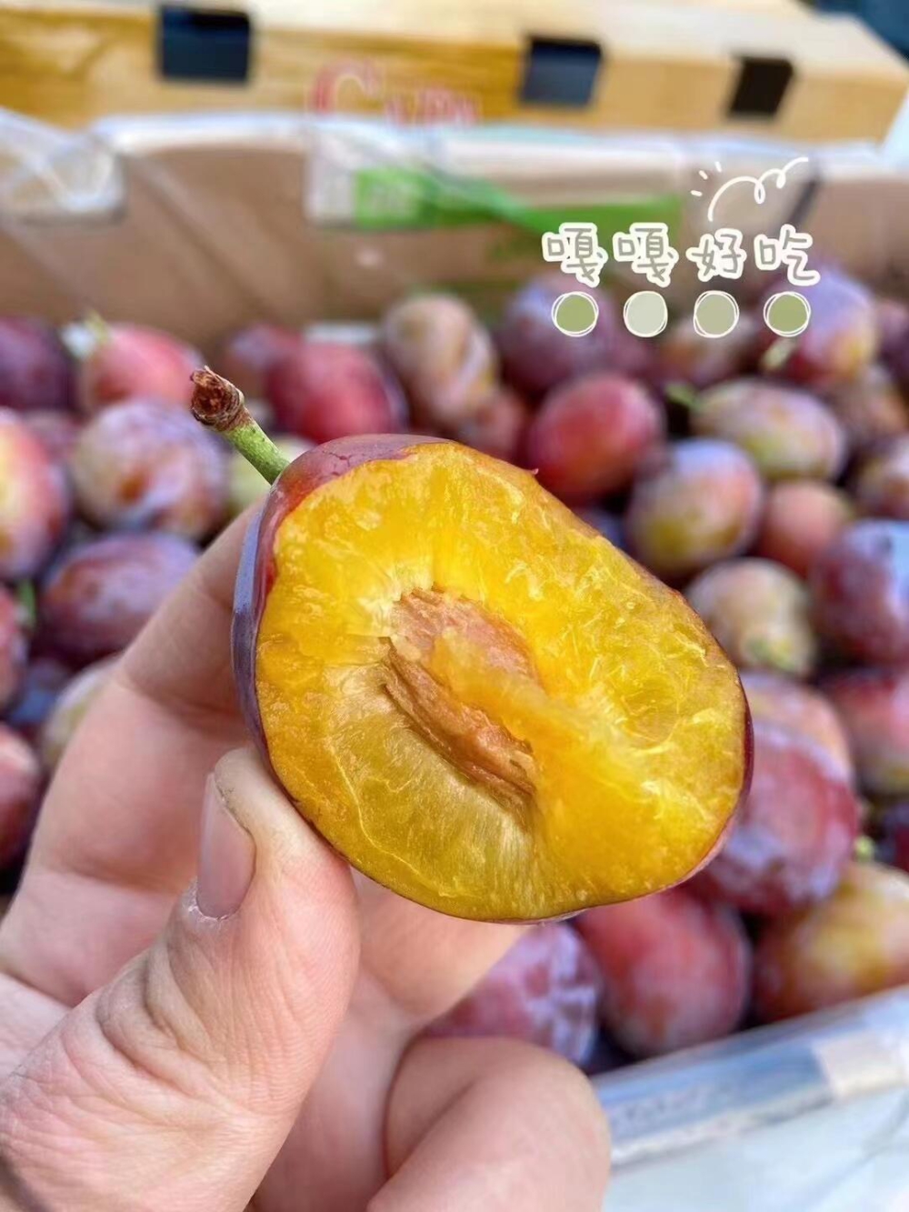 😍大餐后整点西梅清清肠道颗颗果粉十足👏个 配图2