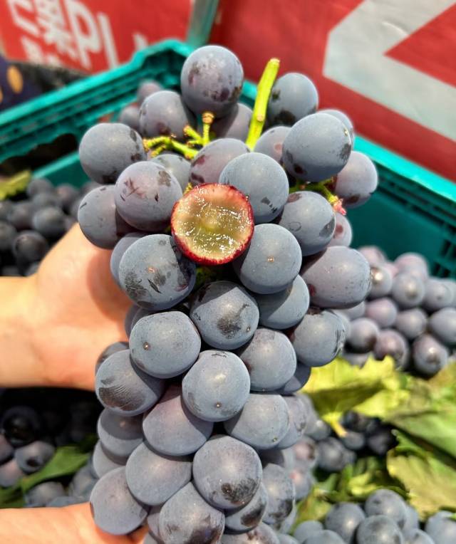 🔥卖爆了的的蓝莓葡萄到货🍇 满满的自然果 配图1