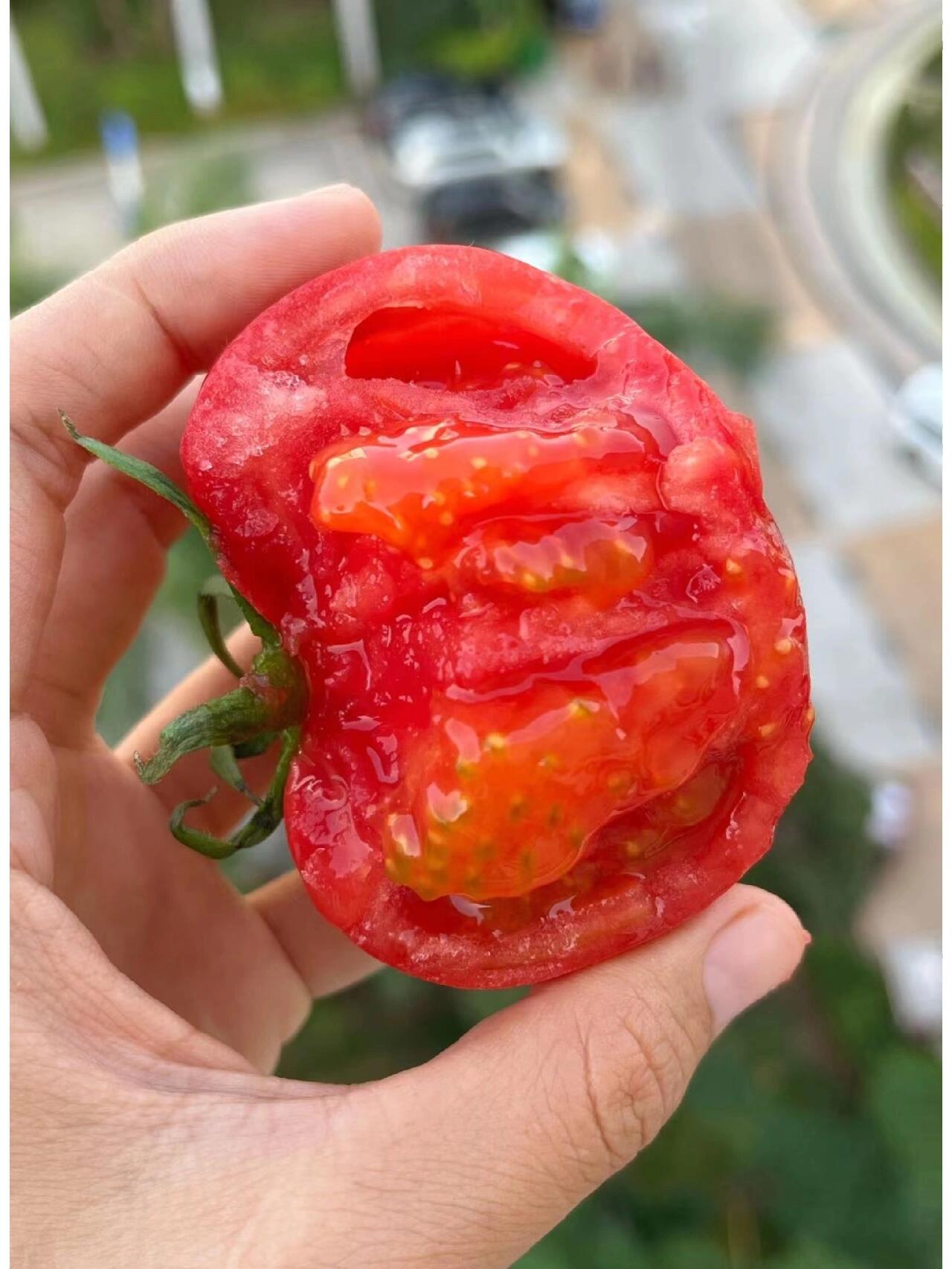 🍅 普罗旺斯西红柿！ 一捏就软，成熟度刚 配图3