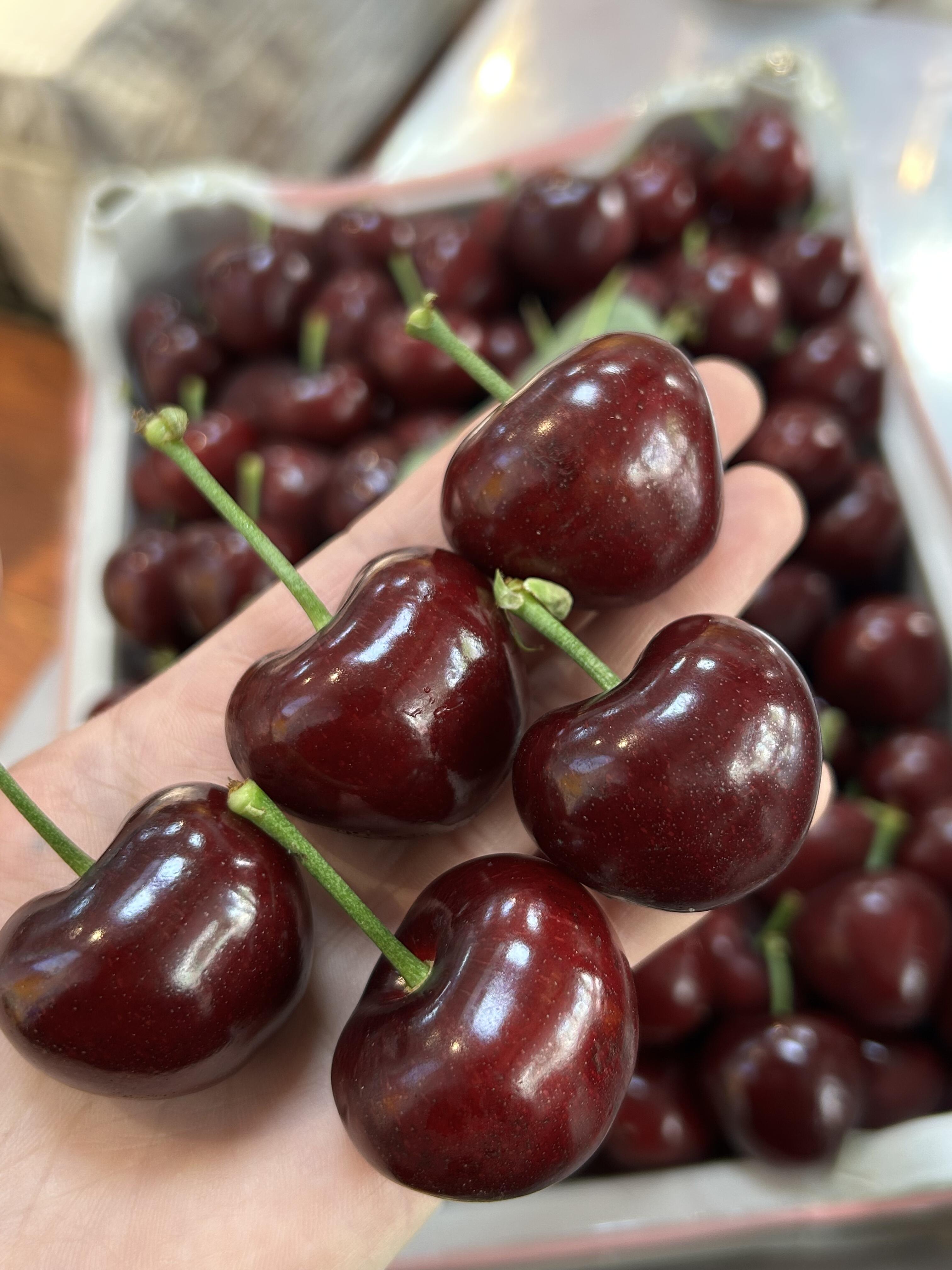 大连美早樱桃🚄 品尝一口，甘甜四溢🍒，脆 配图2