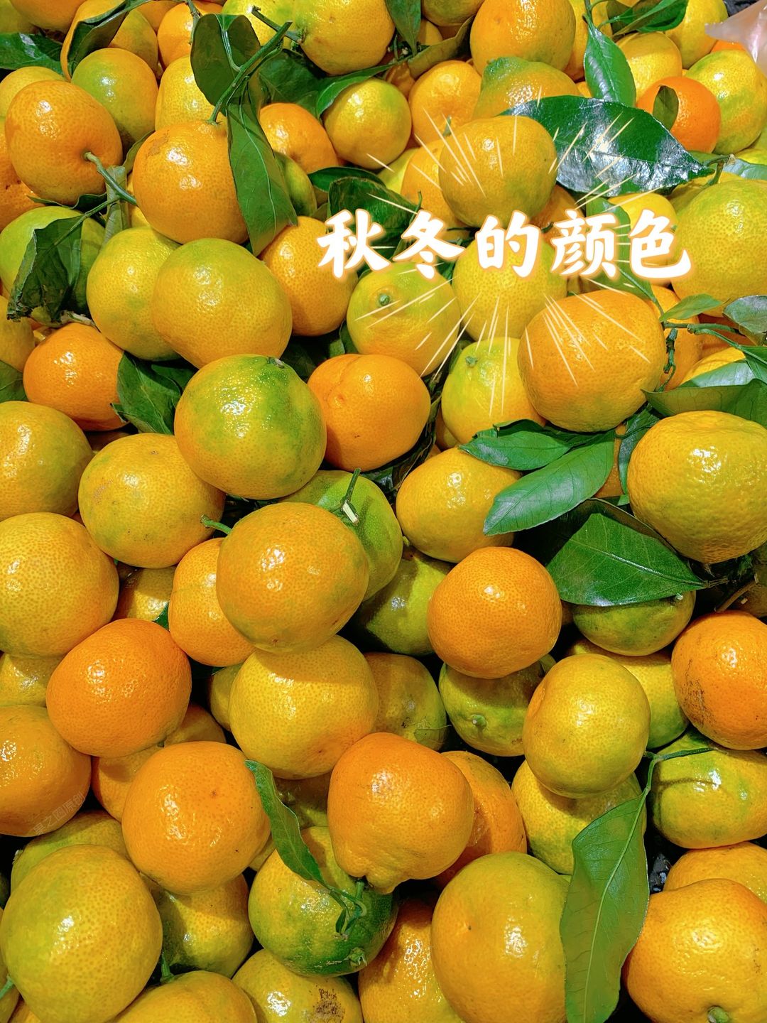 ⬆超高的维生素C和柠檬酸，不仅让蜜桔风味 配图2