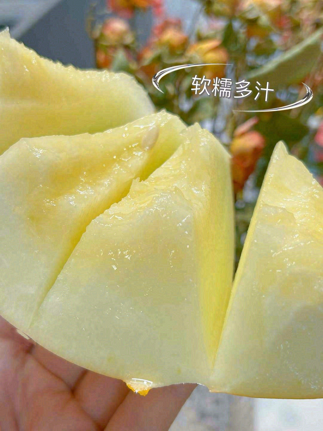 🔆阳光正好，我掐指一算👌 你正需要这口甜 配图2