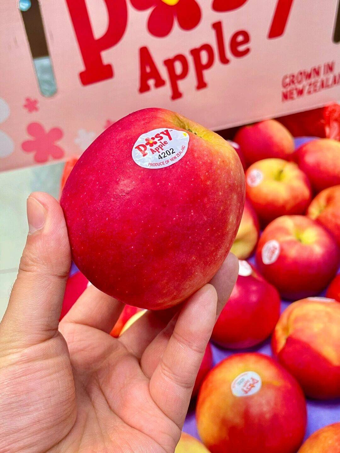 新西兰 • 有机小花苹果🍎新货到 淡淡的 配图3