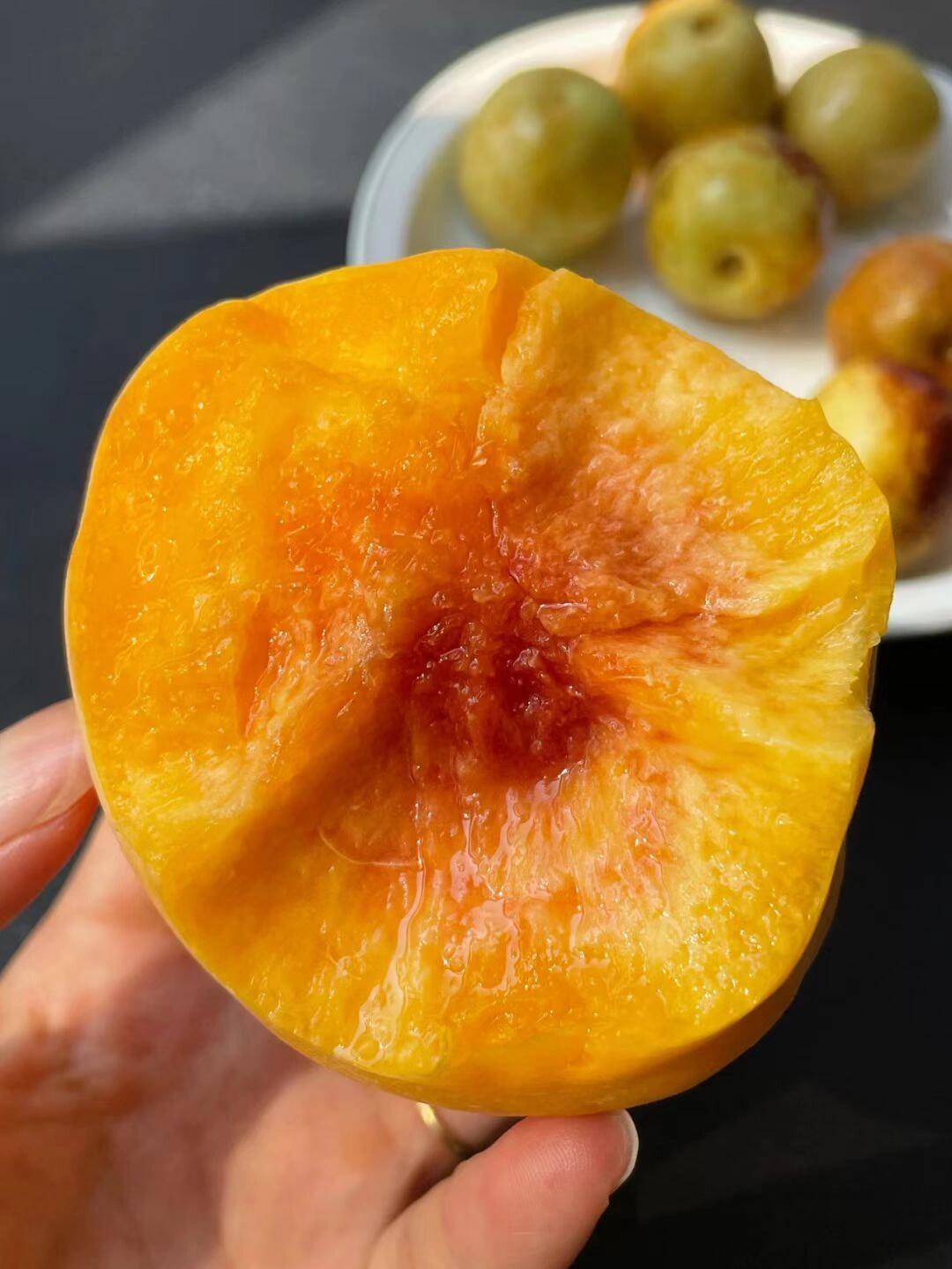 当季热卖款🔥黄桃🍑 一道亮丽的“桃色”风 配图1
