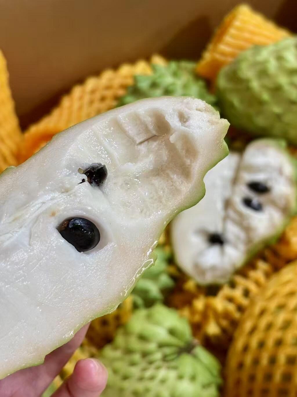 牛奶释迦文案🥳牛奶凤梨释迦错过等一年~  配图1