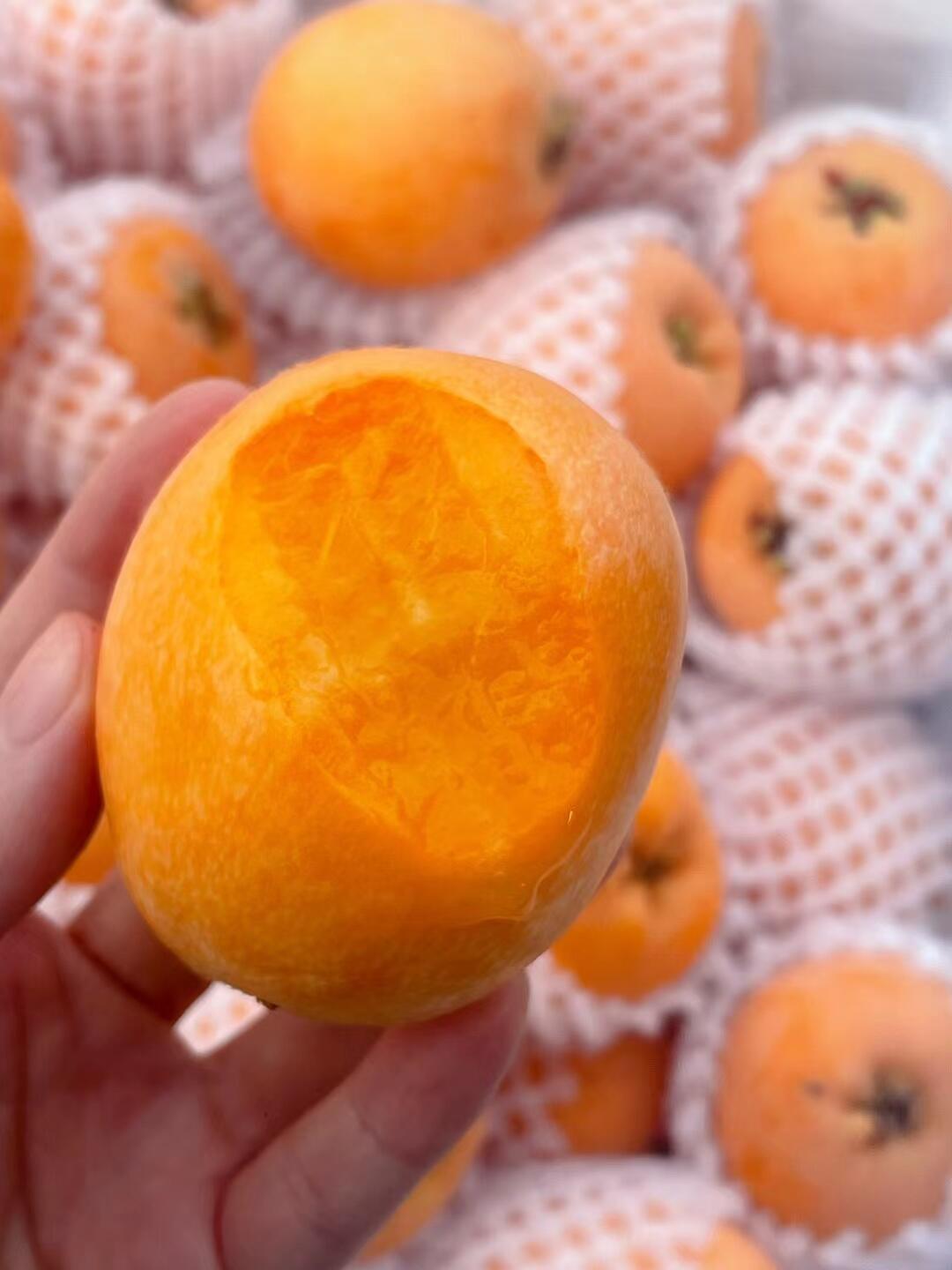 枇杷，是双润的味道🧡 快来抢占这第一口甜 配图1