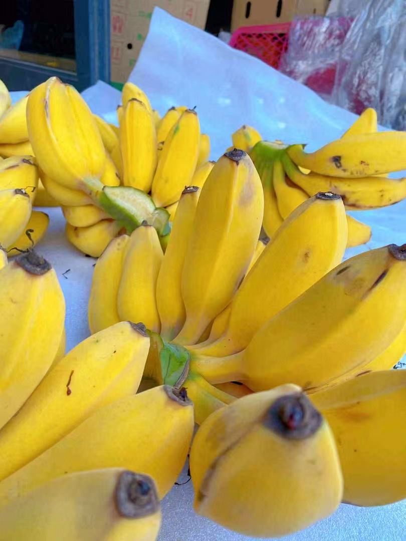 🌟吃腻了其他香蕉，不妨试一试这个苹果蕉🍌 配图3