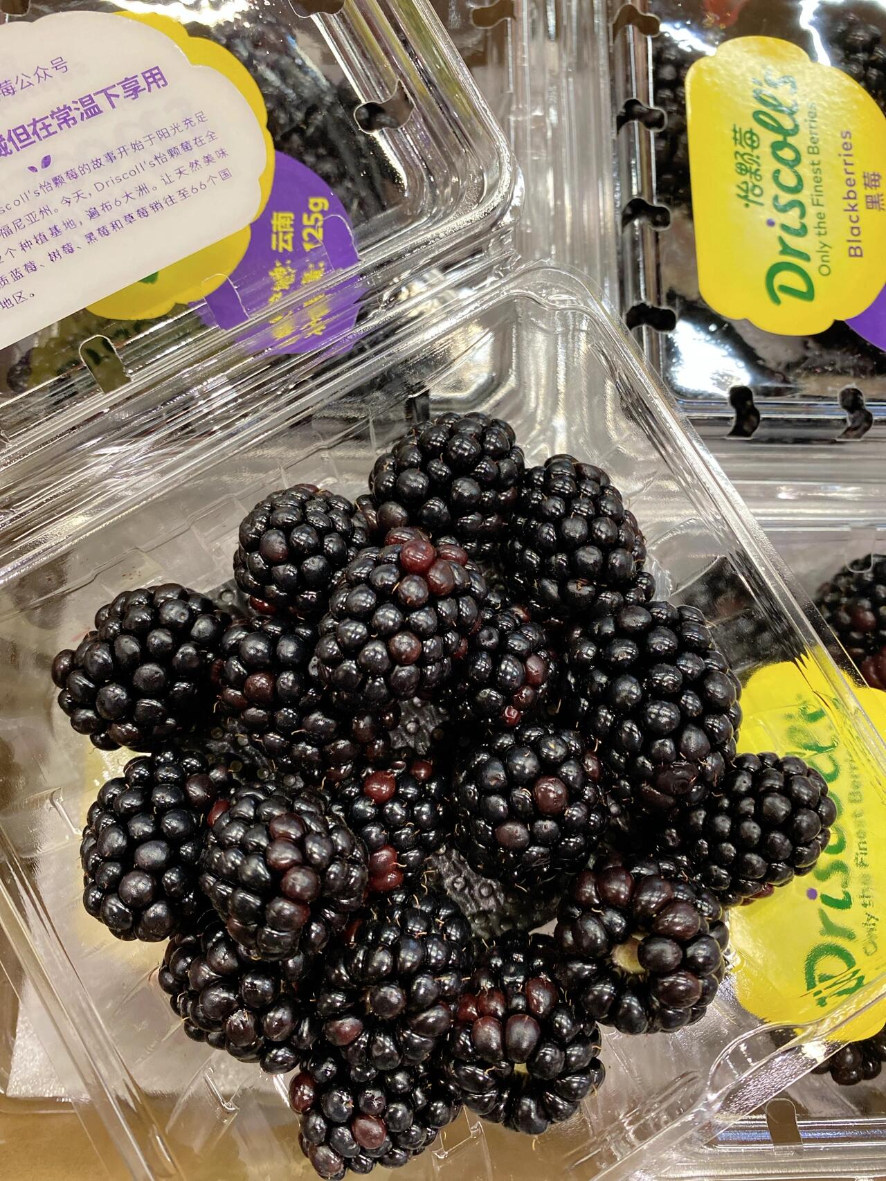这么优秀的黑树莓✔️ 没有理由不分享给你 配图2