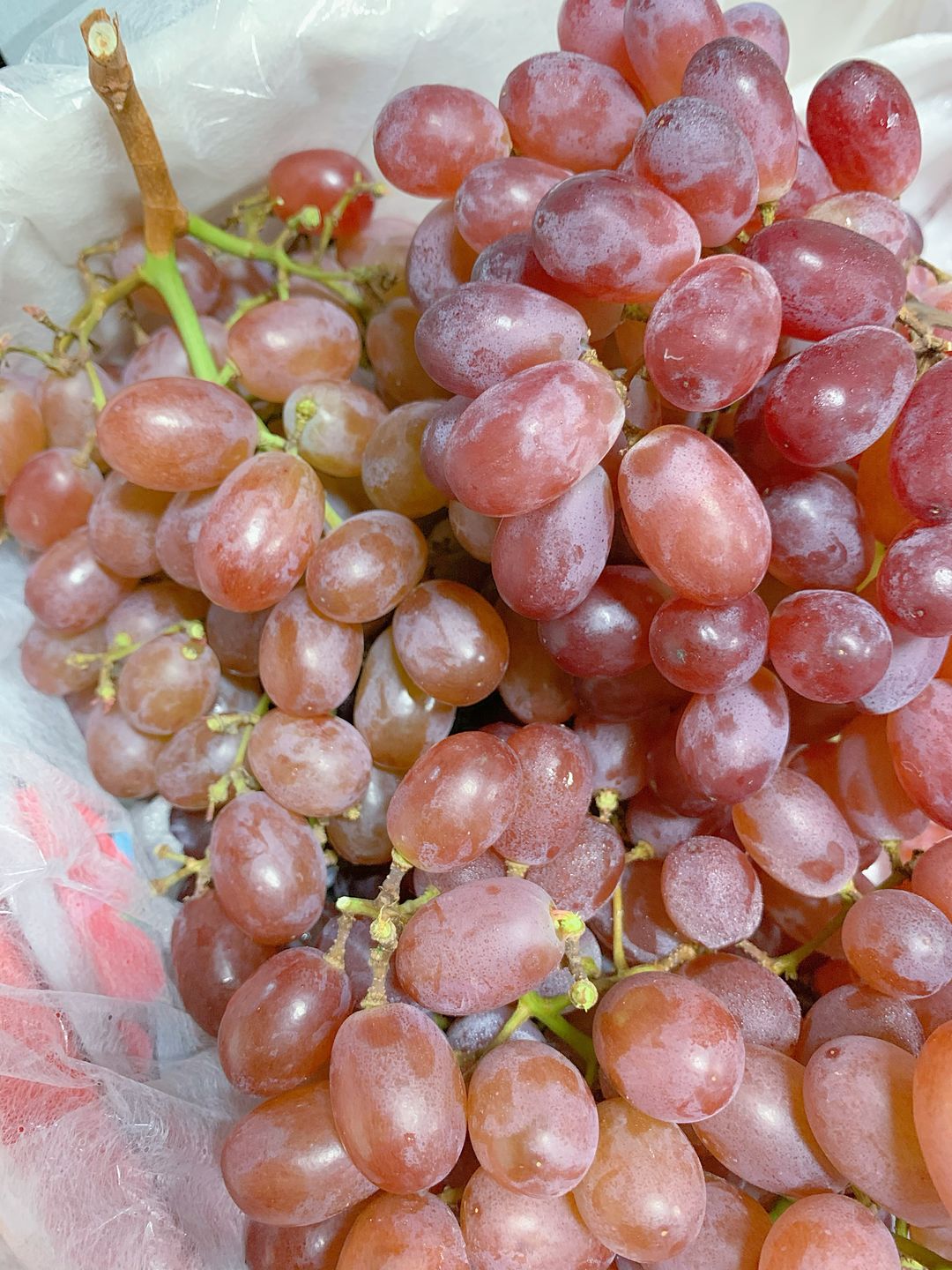 🍇🍇水果版の爆爆珠！克伦生无籽红提🍇🍇  配图3