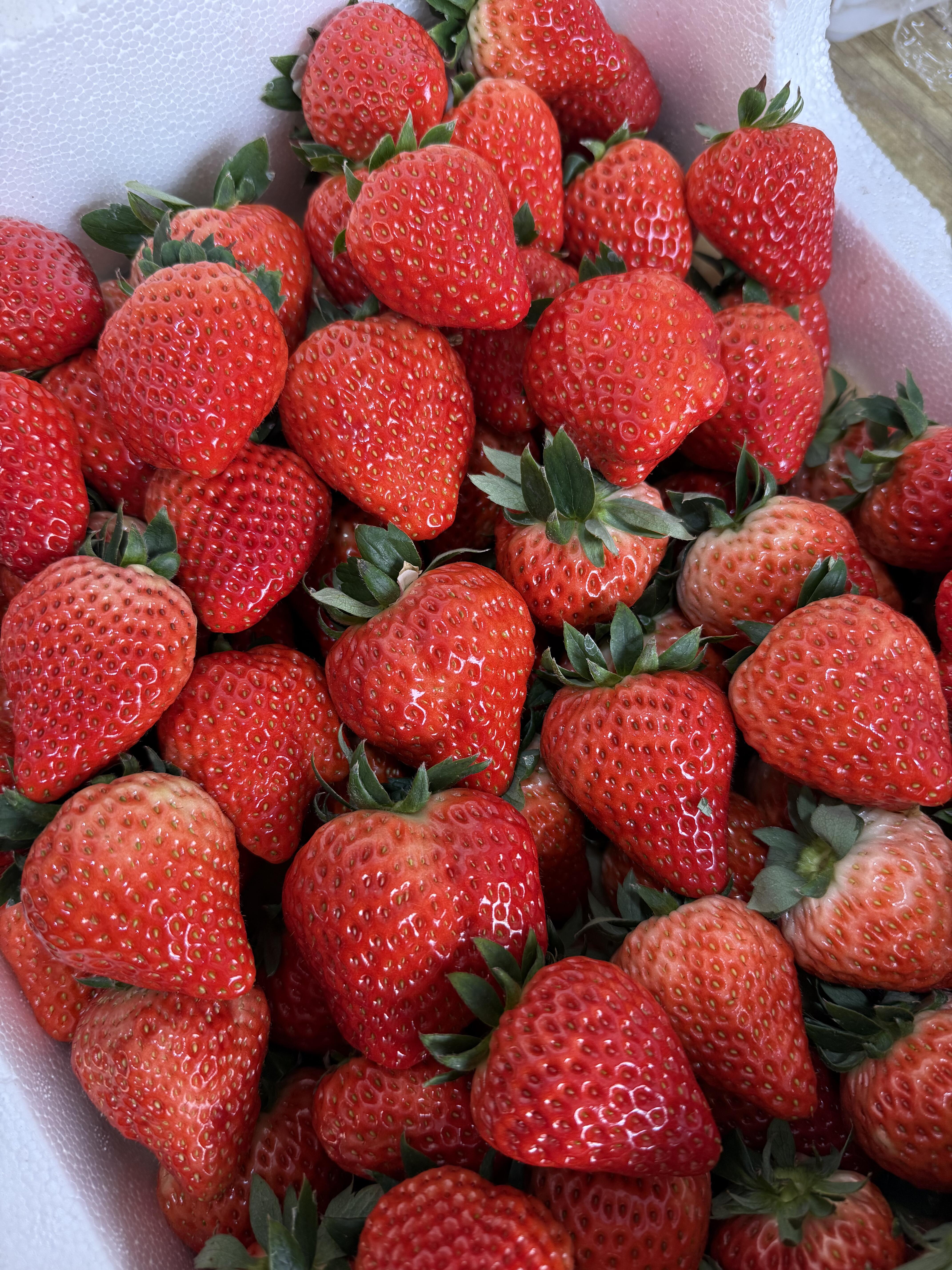 🍓红颜草莓甜度升级！ 果肉鲜嫩爆汁，香气 配图1