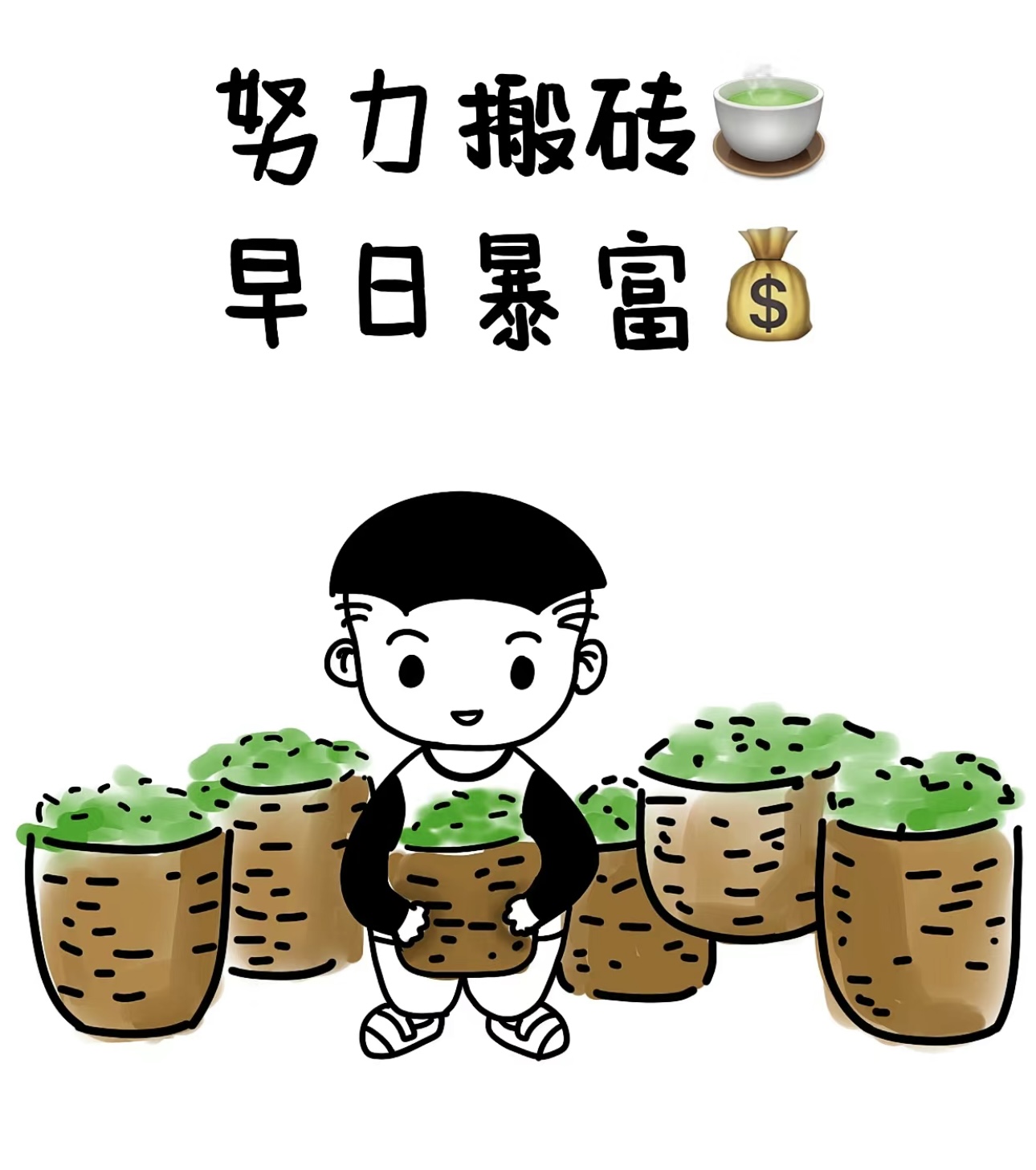茶香袅袅，岁月悠悠。我们的茶叶，采自高山 配图1