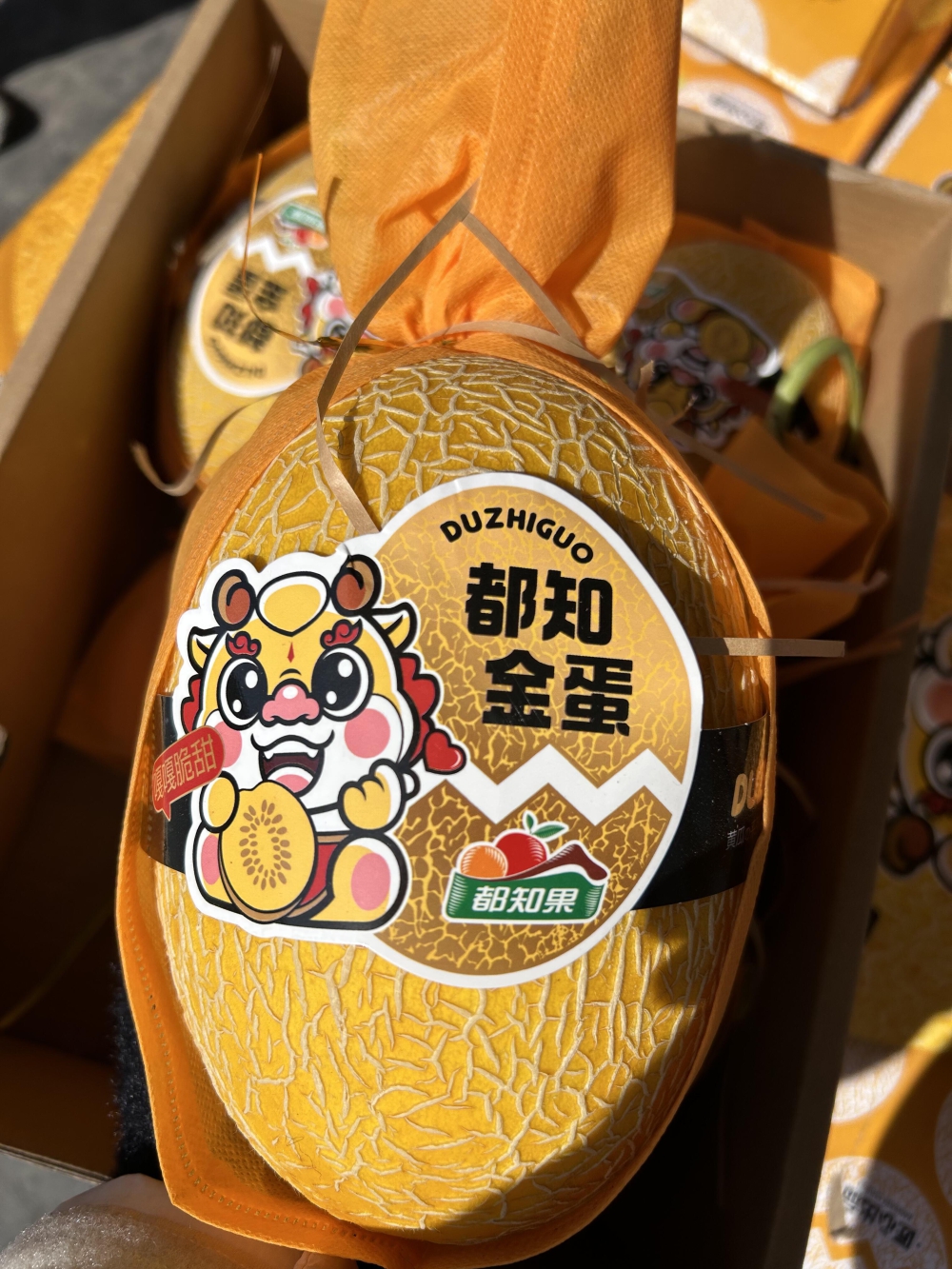 都知金蛋蜜瓜🍈比普通哈密瓜更脆更甜😋～  配图3