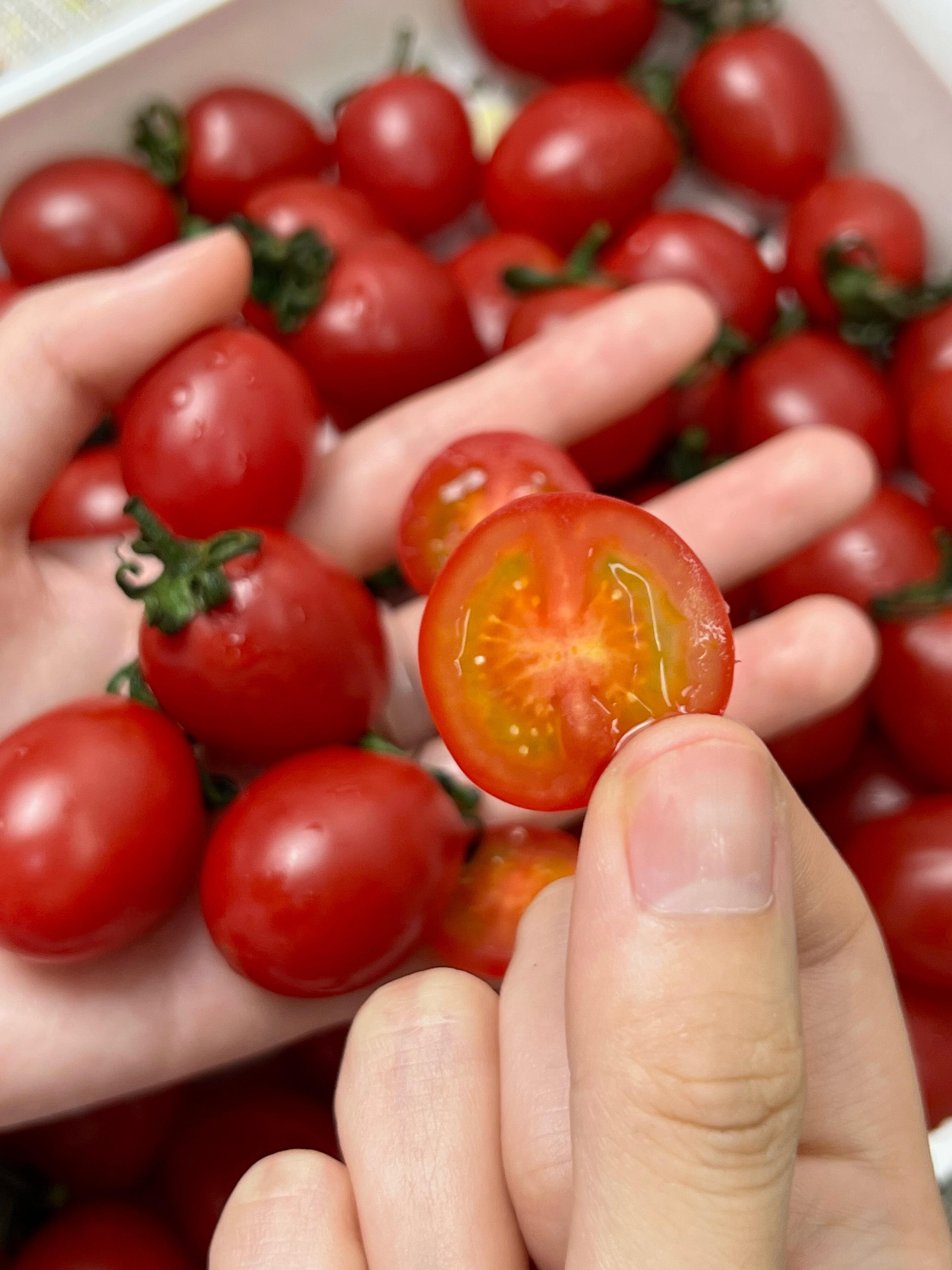 减脂党的福音又回来了🍅低卡爆汁小番茄爱了 配图1