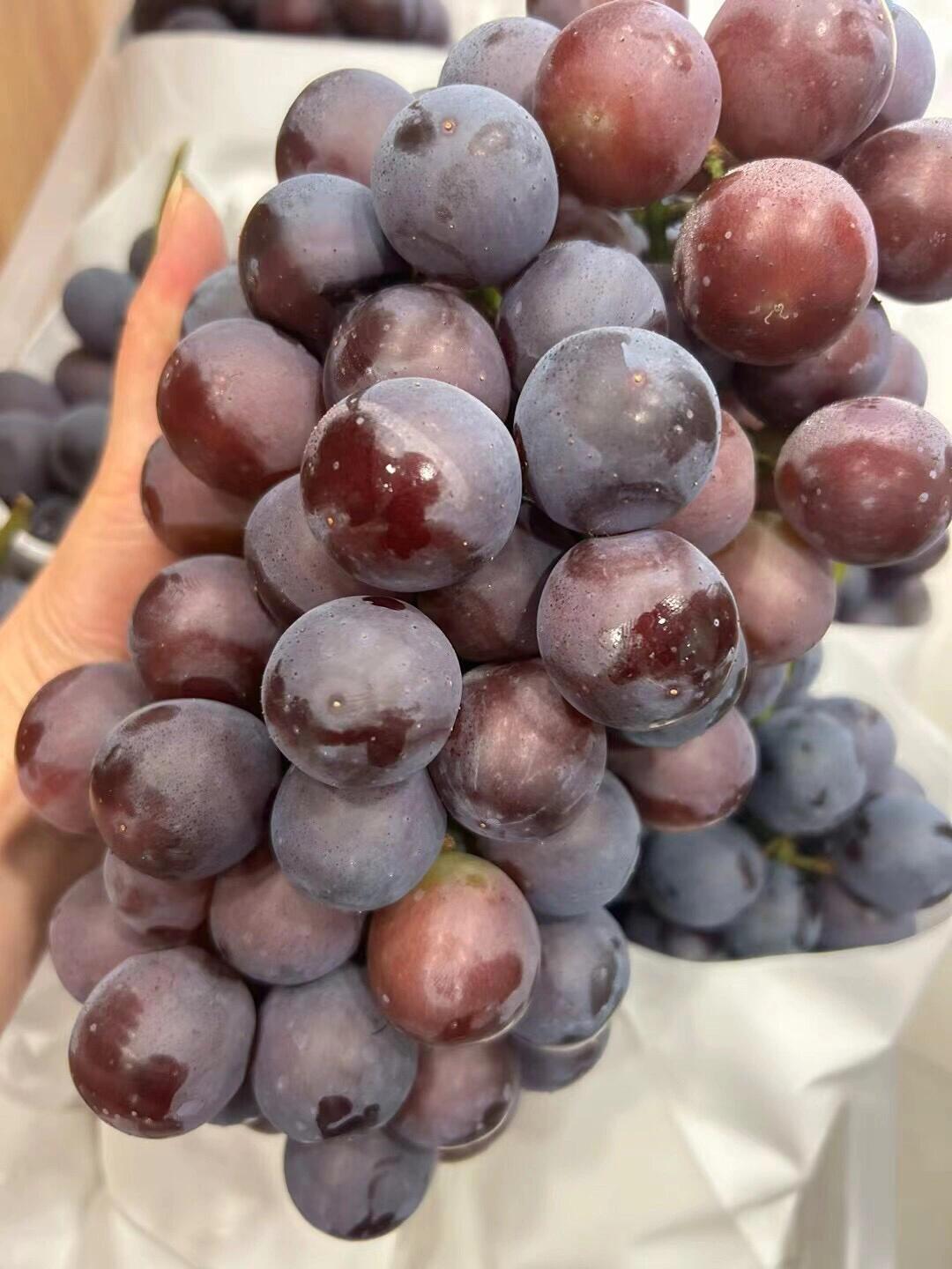 🍇夏黑葡萄甜到犯规！ 果肉紧实脆嫩，汁水 配图2