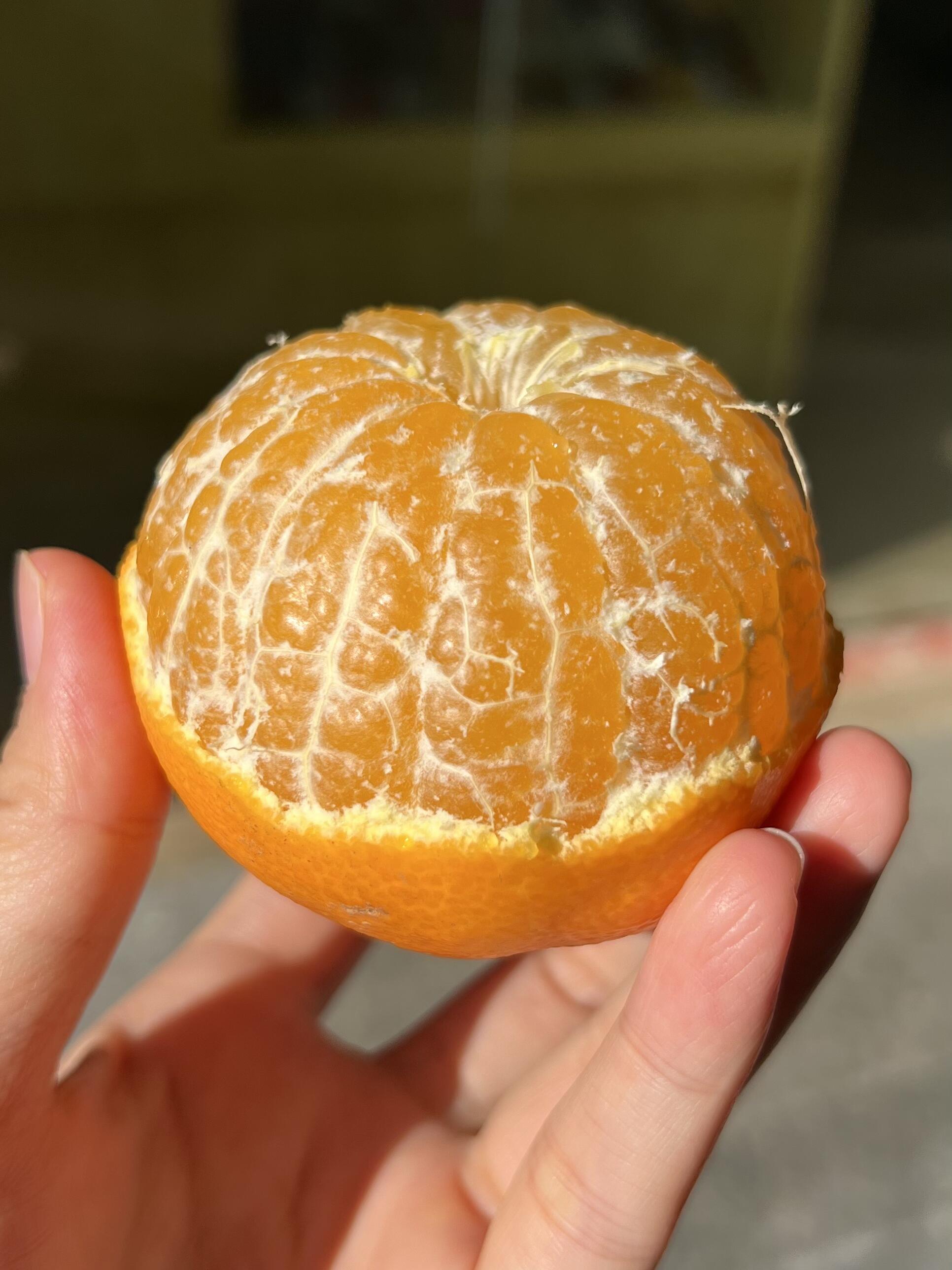 🔆阳光里沐浴出来的爱媛果冻橙🍊 不敷衍， 配图3