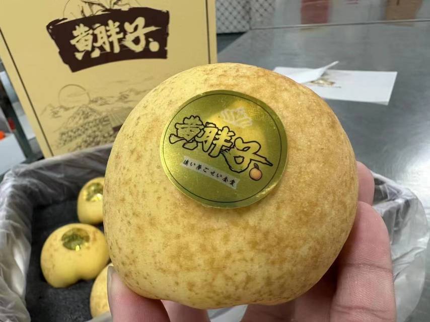 黄胖子·维纳斯苹果。金黄温和的色调，浓郁 配图1