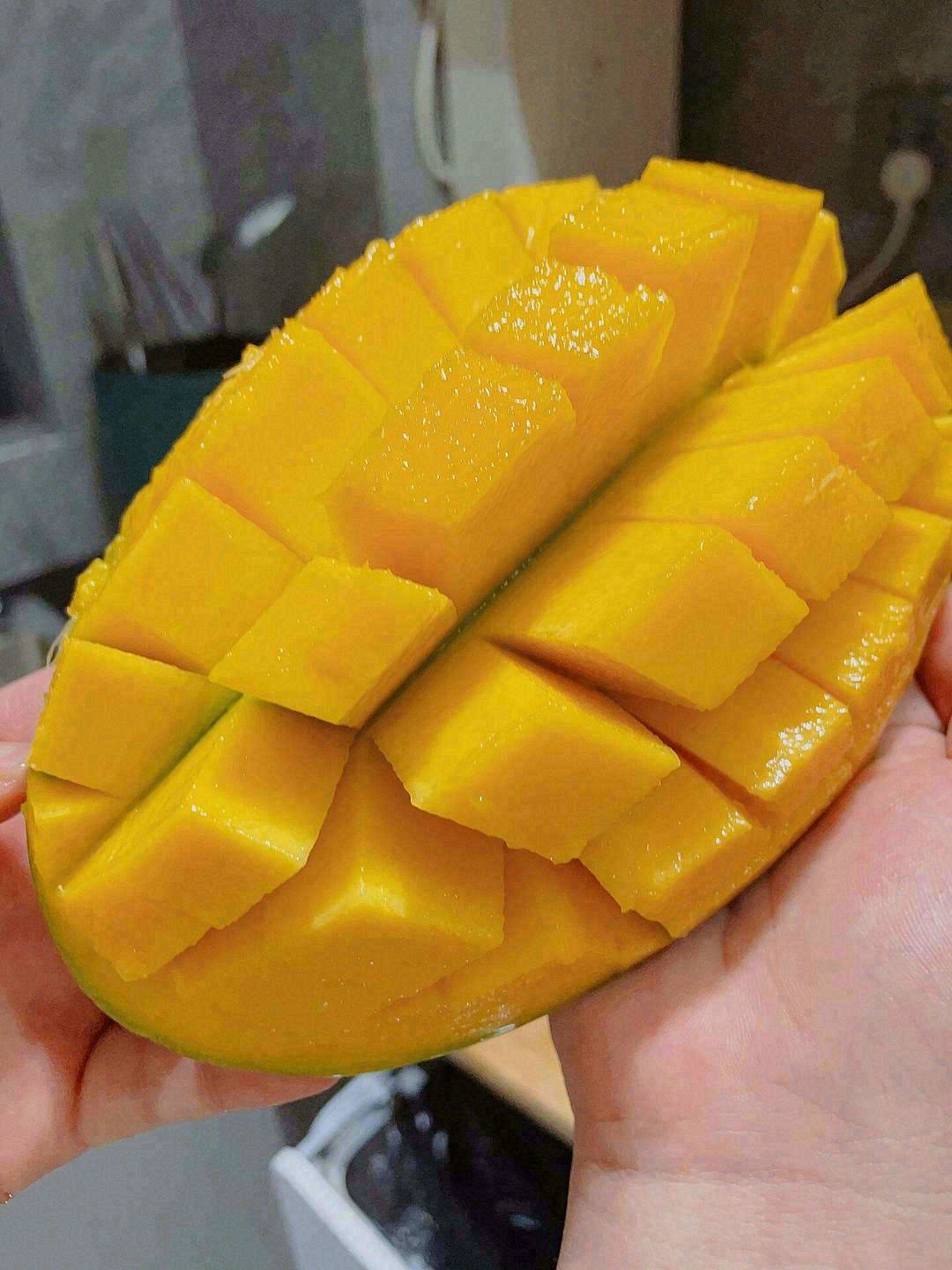 🍃那么绿的外表下内心这么黄💛 🧚‍♀️它 配图1