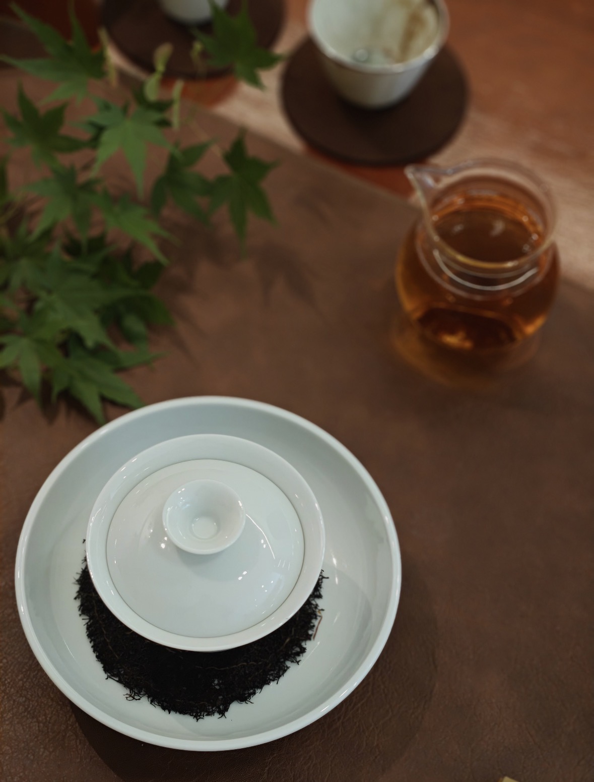 藏春于茶，越陈越香。三月新茶预售开启，太 配图1