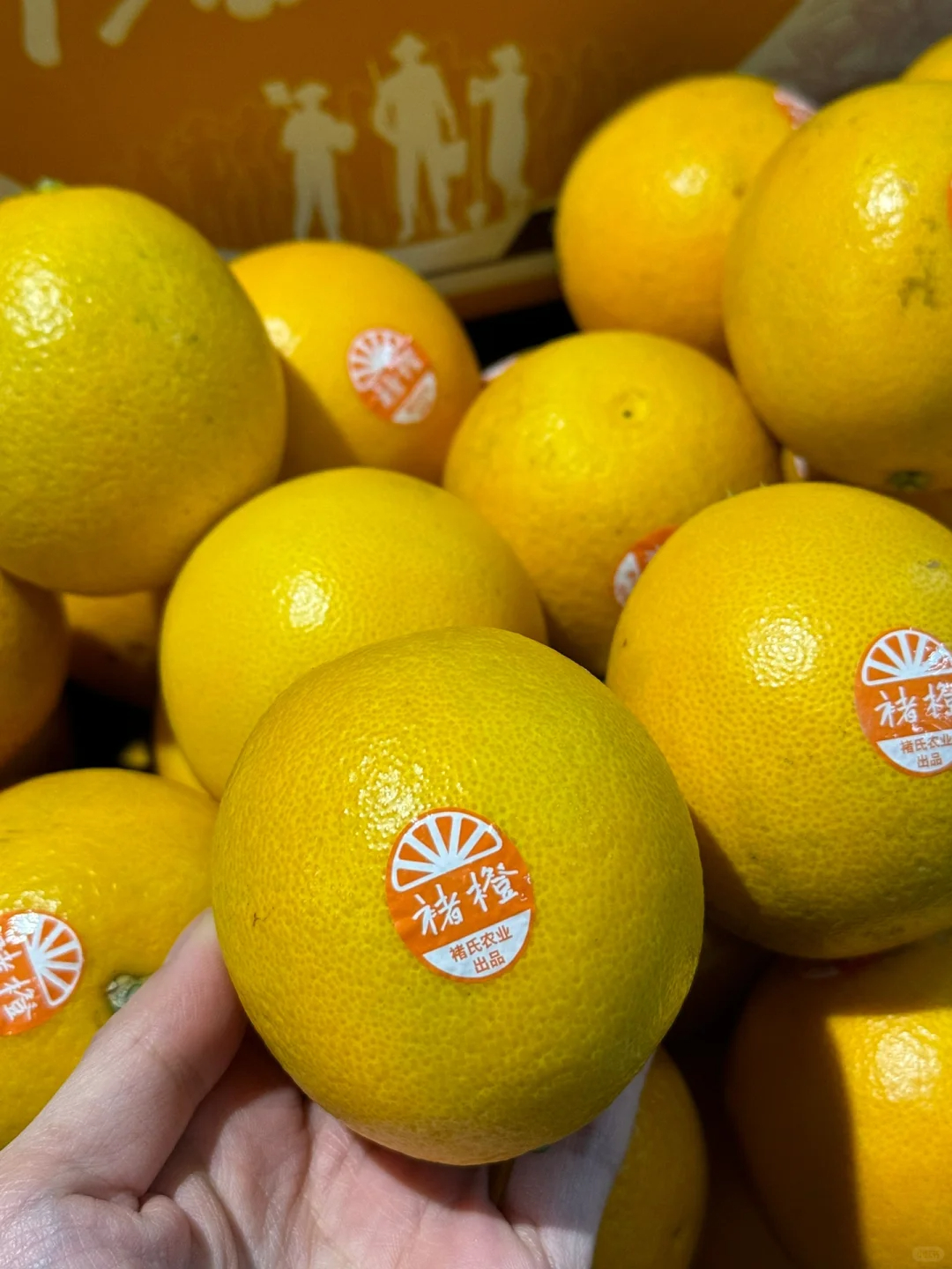 🍊人生总有起落 精神终可传承 🍊这是褚橙 配图3