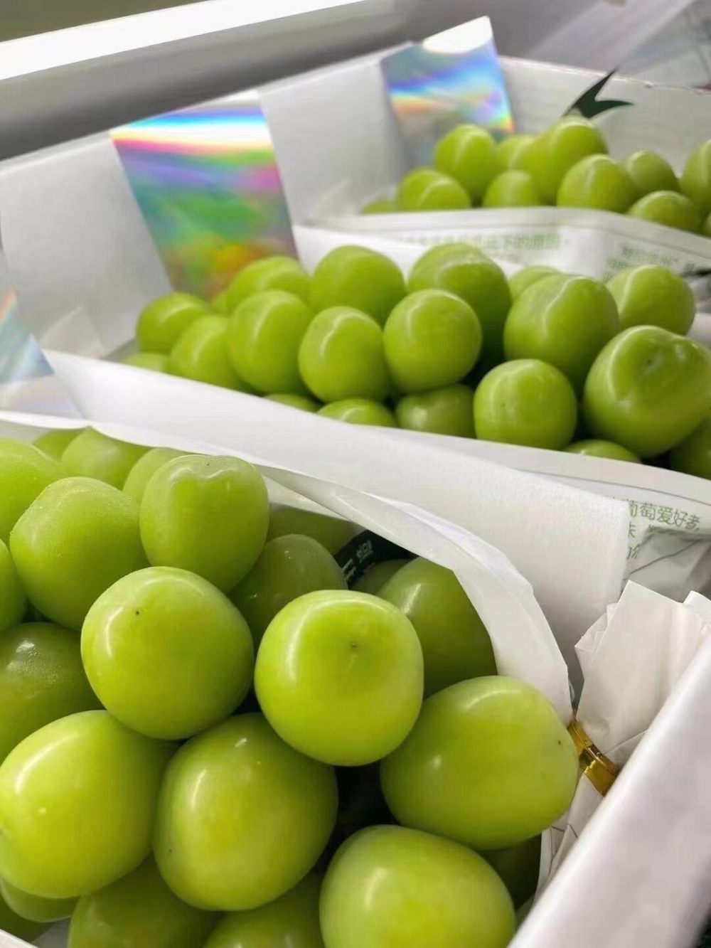 葡萄中的“C位”-晴王葡萄🍇 楼铁源不是 配图1
