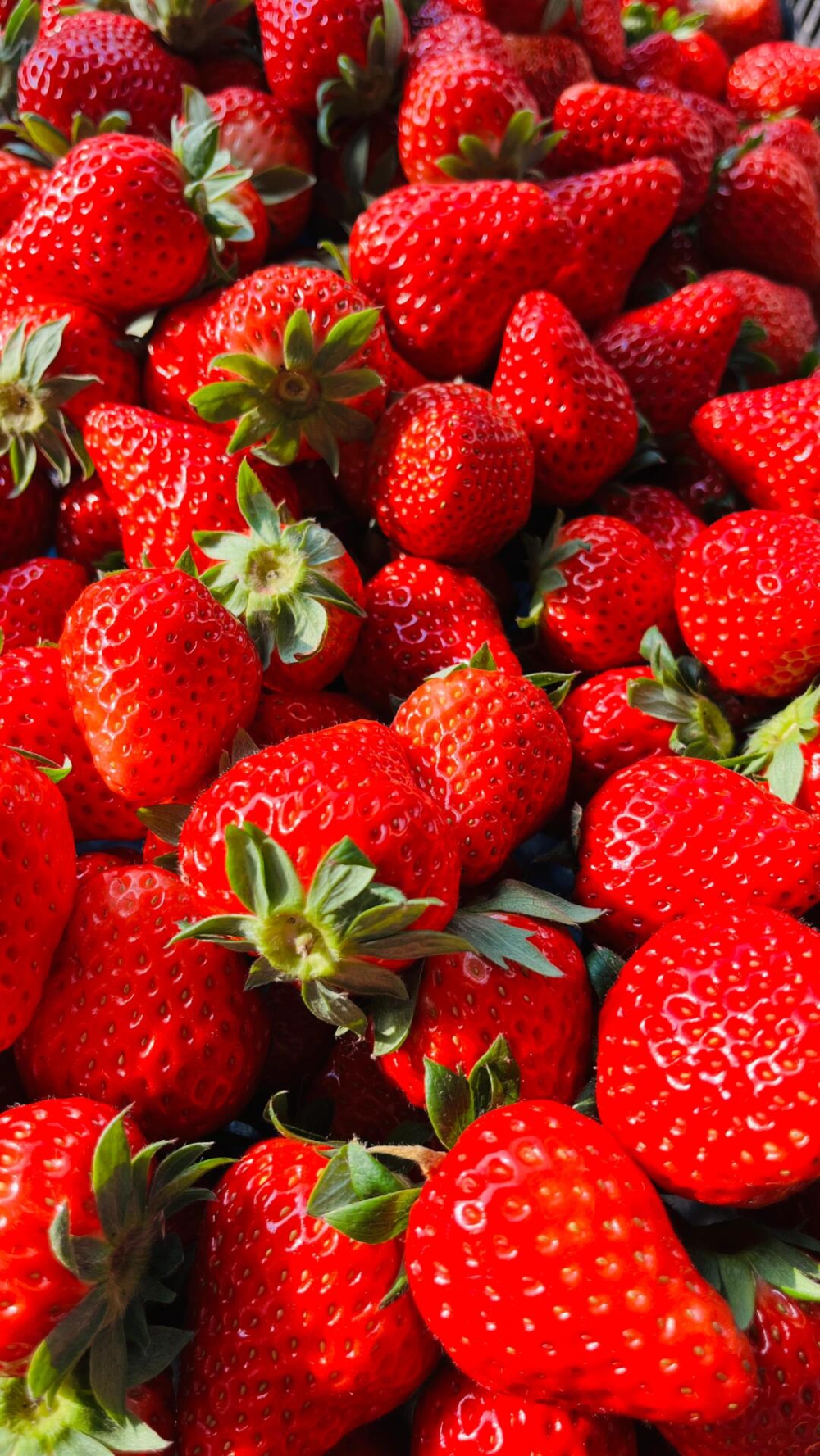 冬天正是吃草莓🍓的季节新到的红颜草莓分外 配图3