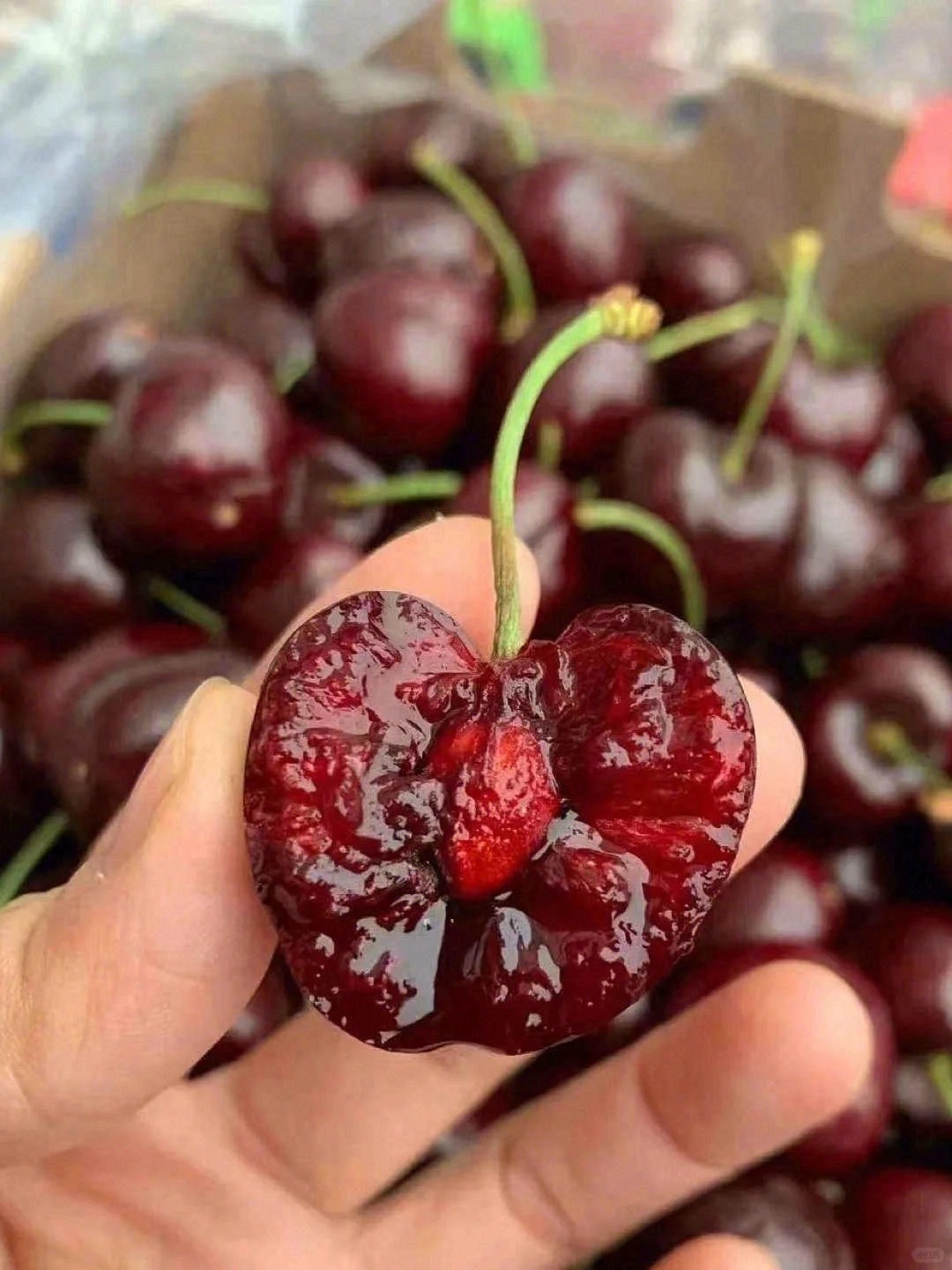 🍒 一定要约这个车厘子‼️ 超级脆甜，不 配图2