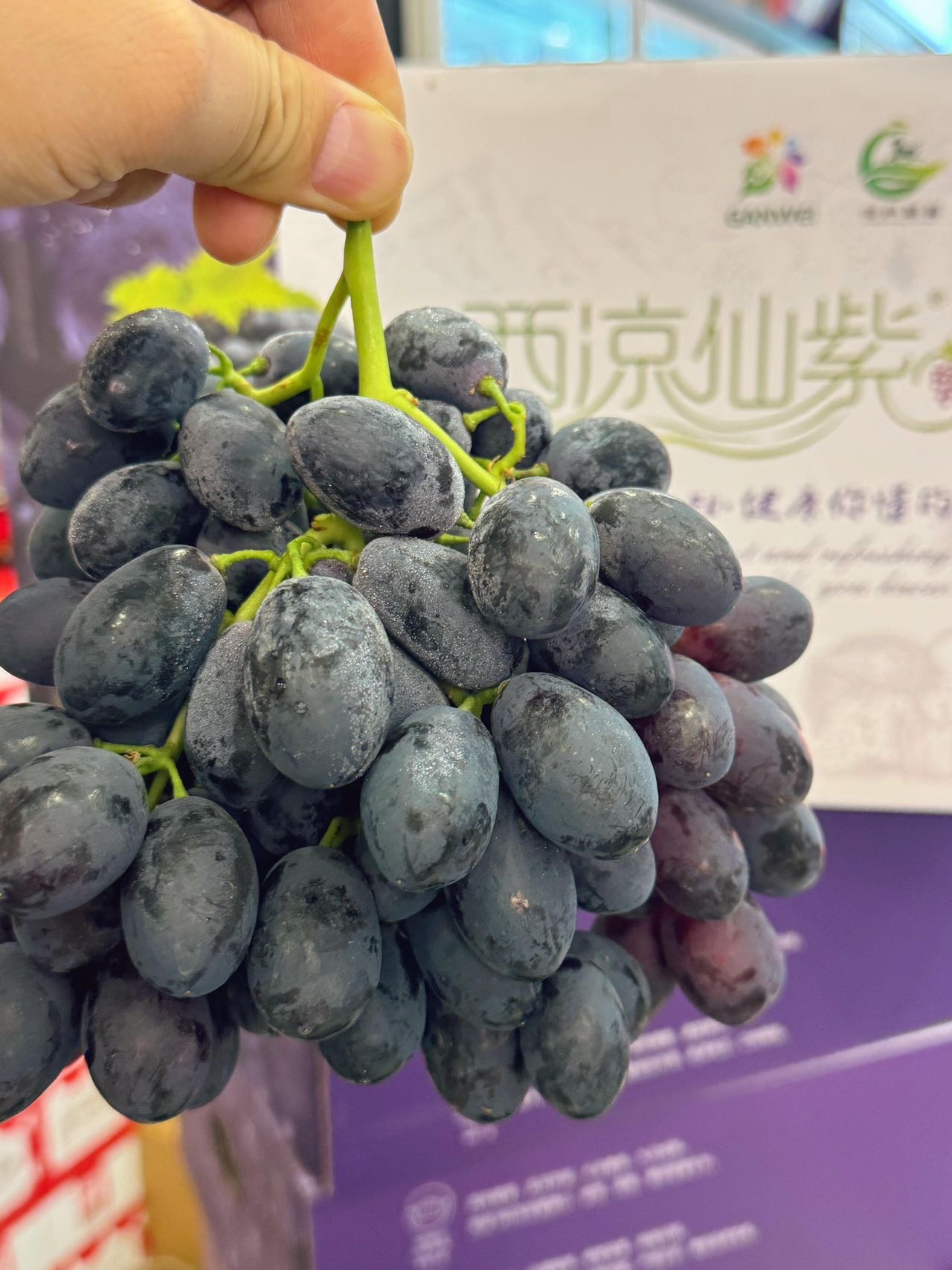 🈺水果店营业の日常 吃一口🍊心情阴转晴☀️ 快乐密码就藏在水 配图5