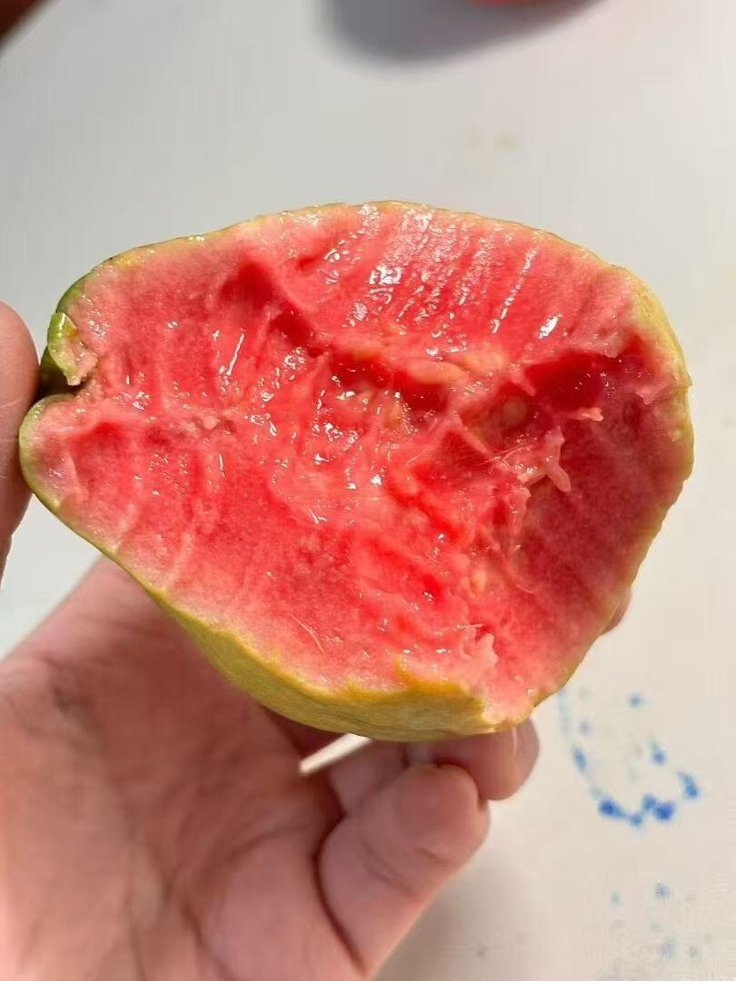 ☀️【清爽解腻必备💦】 饭后来点水果～嘴 配图3