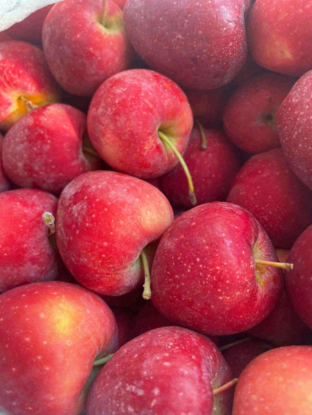 鸡心果🍎特别圈粉小朋友😍 家里的小孩子， 配图3