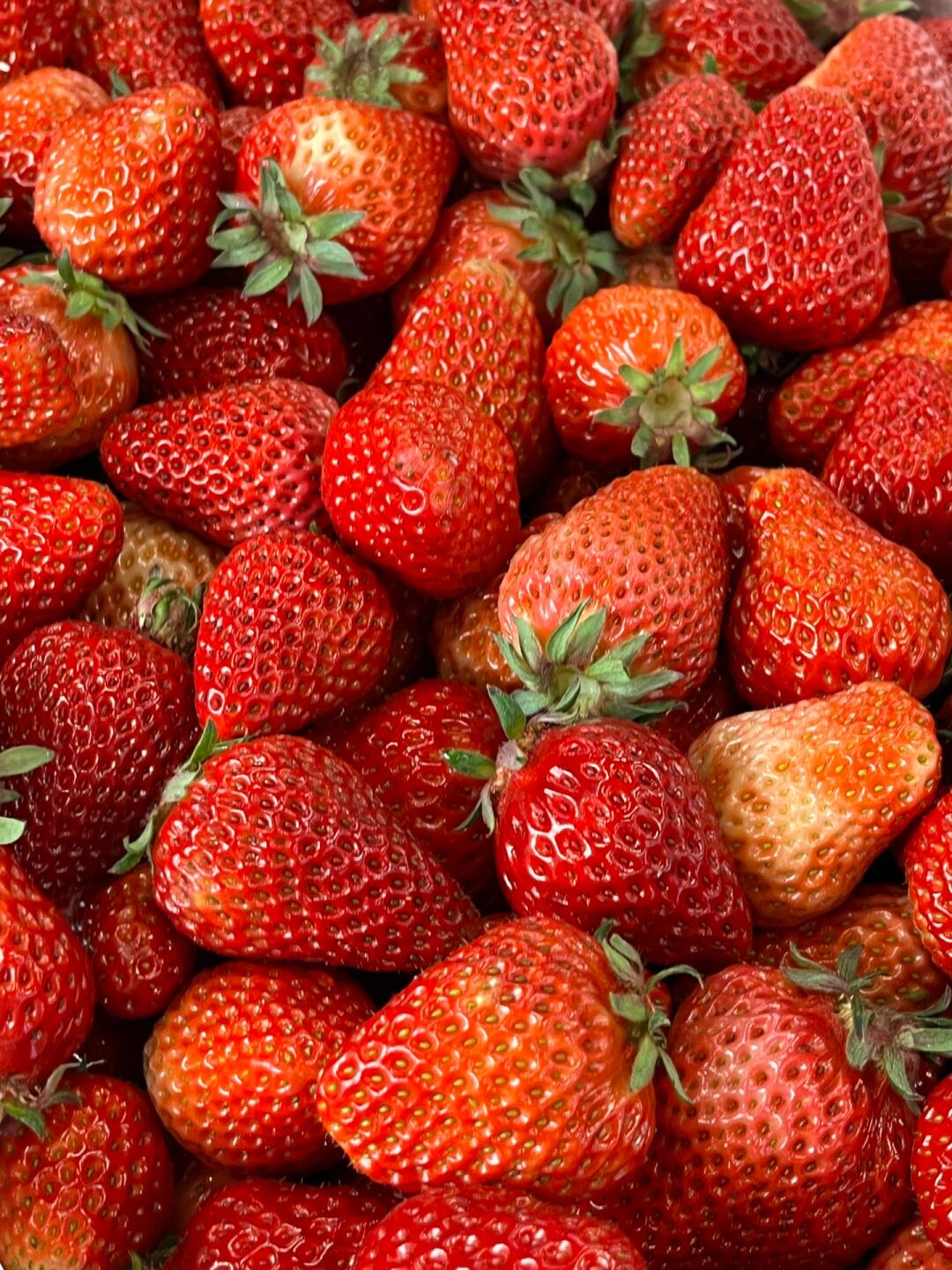 🍓✨〰︎ ɴɪᴄᴇ ᴅᴀʏ ࿎ 今天是草 配图3