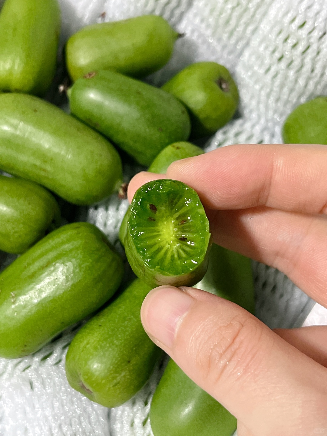 🍉【水果是日常的小甜蜜‼️】 清凉多汁， 配图2