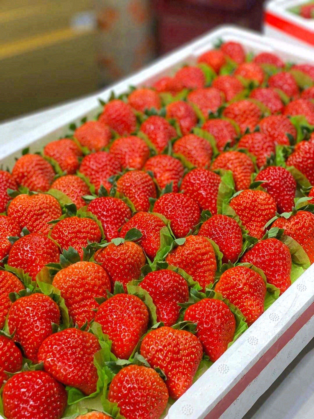 生活要有仪式感🎉 冬天的第一盒草莓🍓 给 配图2