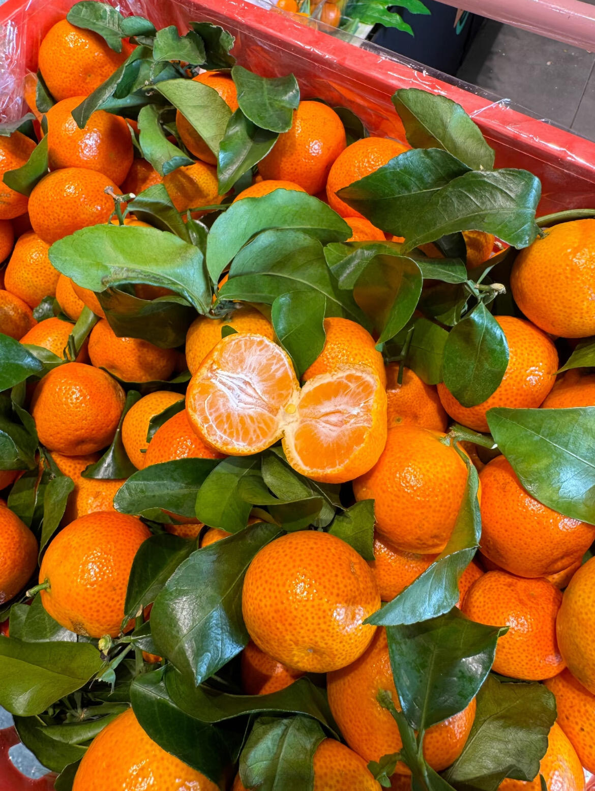 🍊 砂糖橘📣📣 ✨冬日的砂糖橘🍊🍊圆润鲜 配图3