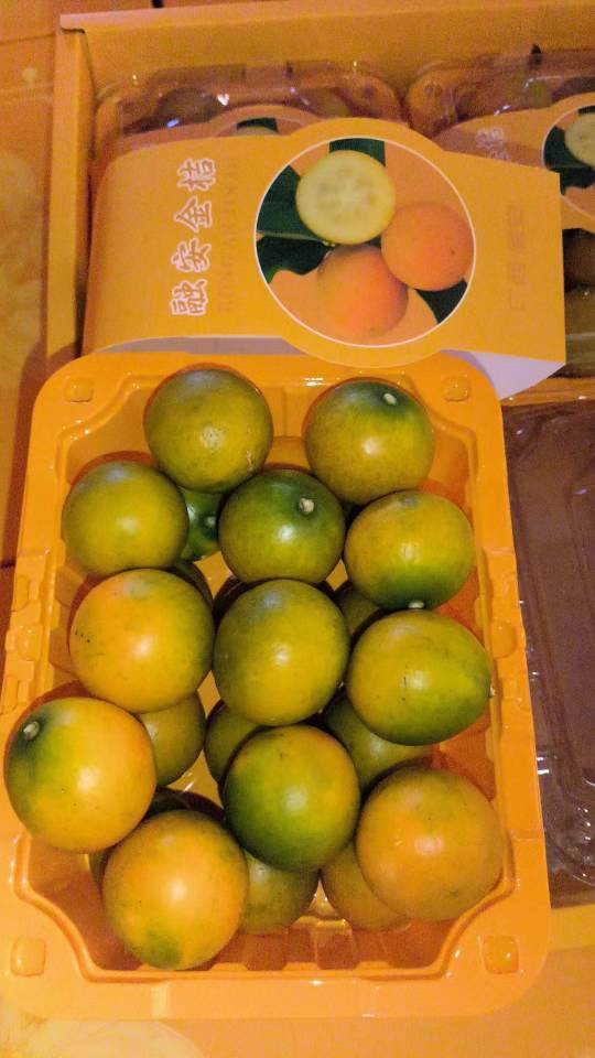 到货【脆密金桔🍊】 巨好吃😋秋—冬必吃甜 配图3