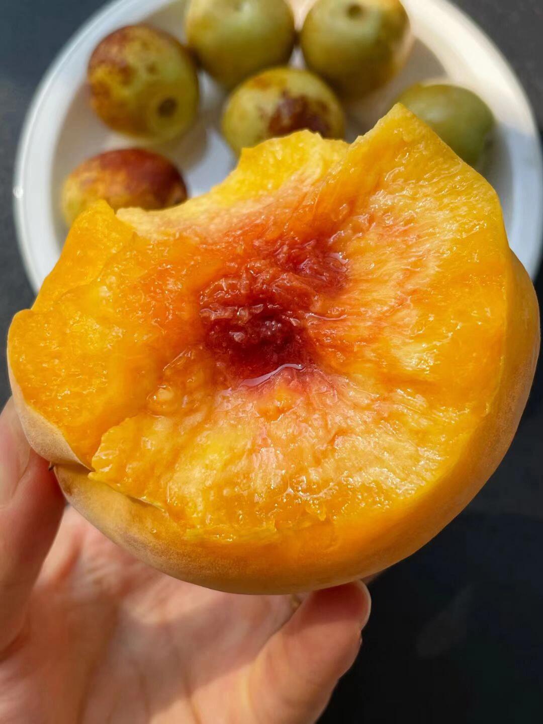 当季热卖款🔥黄桃🍑 一道亮丽的“桃色”风 配图2