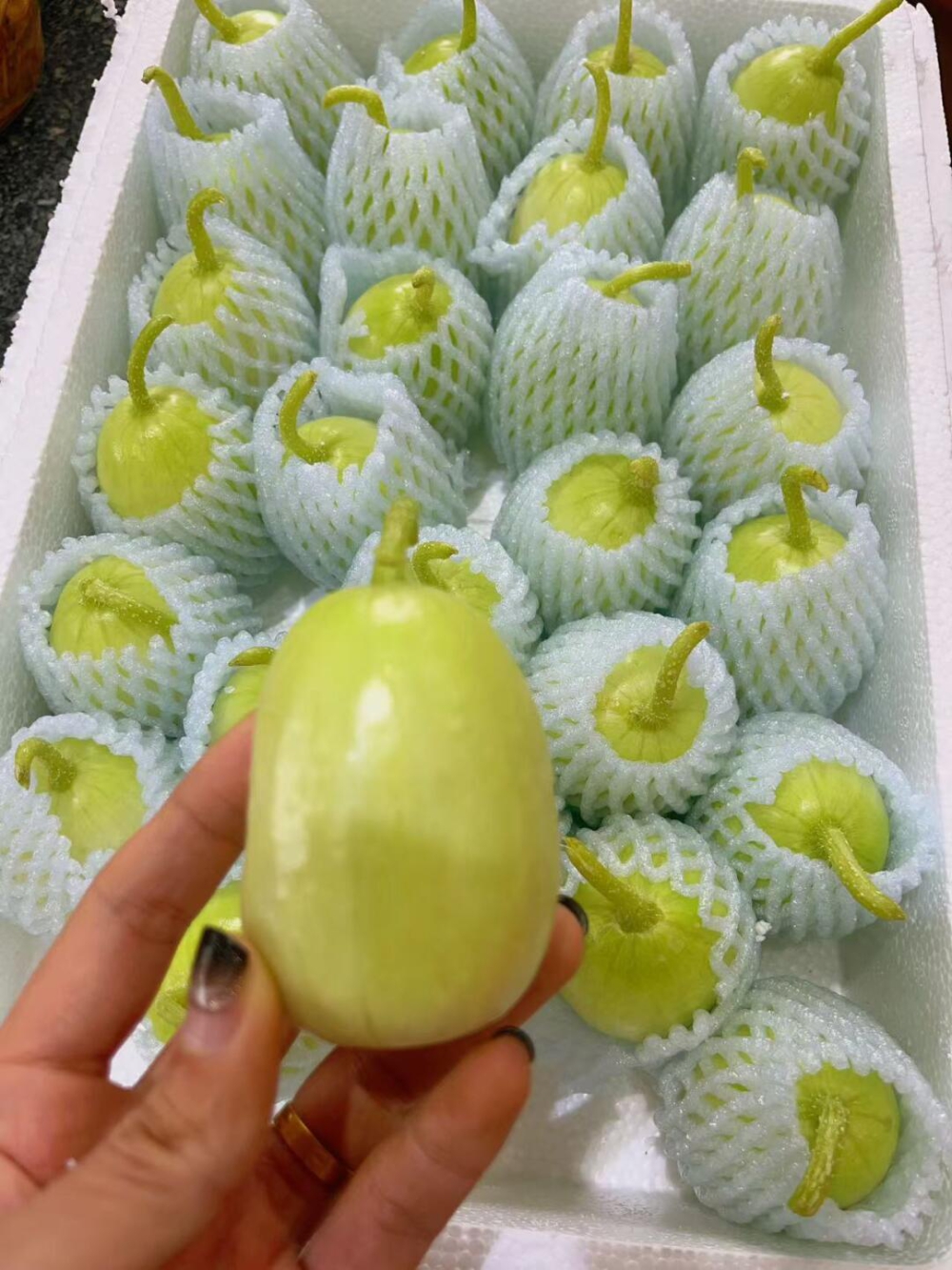 🍃🍃清新脱俗的玉女黄瓜🥒矮矮胖胖的很可爱 配图1